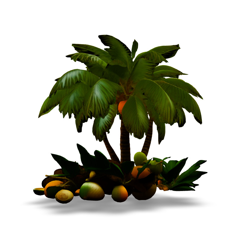 Tropical Coconut Palm Tree and Fruits Low-poly 3D model_6