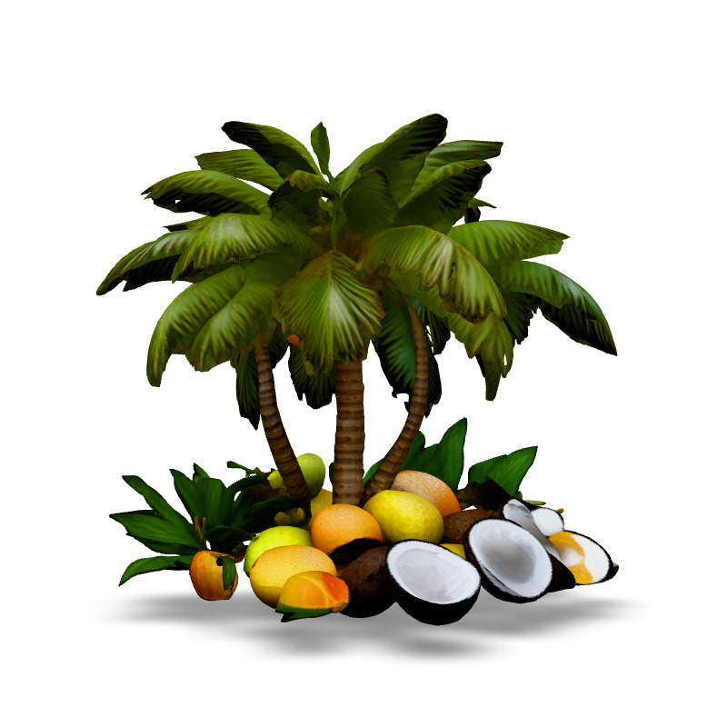 Tropical Coconut Palm Tree and Fruits Low-poly 3D model_3