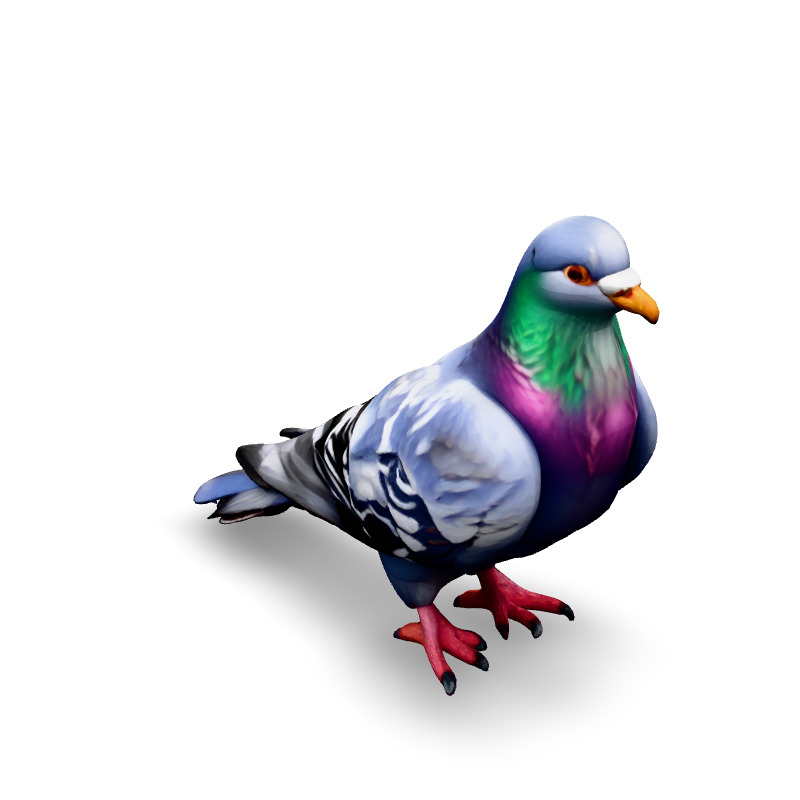 Realistic Animated Pigeon 3D Model Low-poly 3D model_2