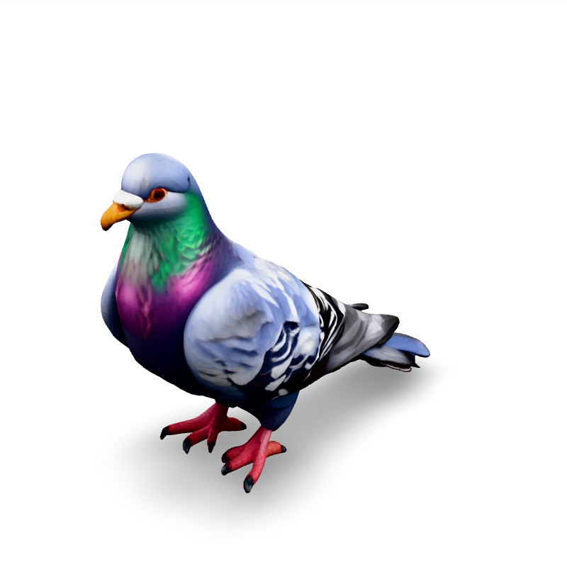 Realistic Animated Pigeon 3D Model Low-poly 3D model_1