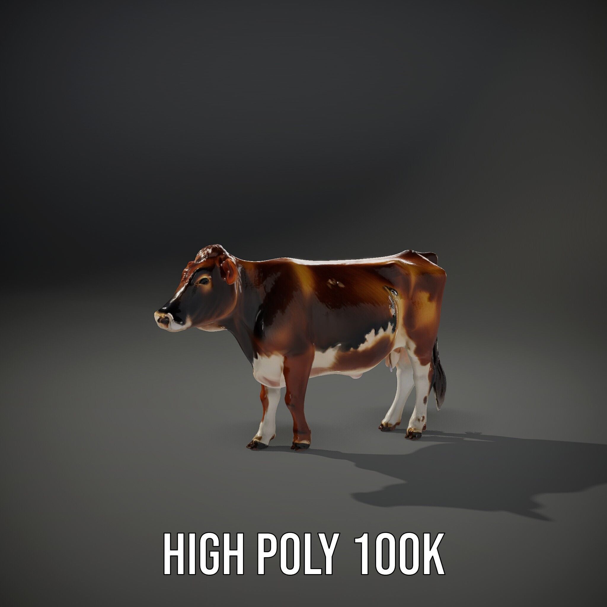Realistic Cow Model Pack for Animation and Simulation Low-poly 3D model_11