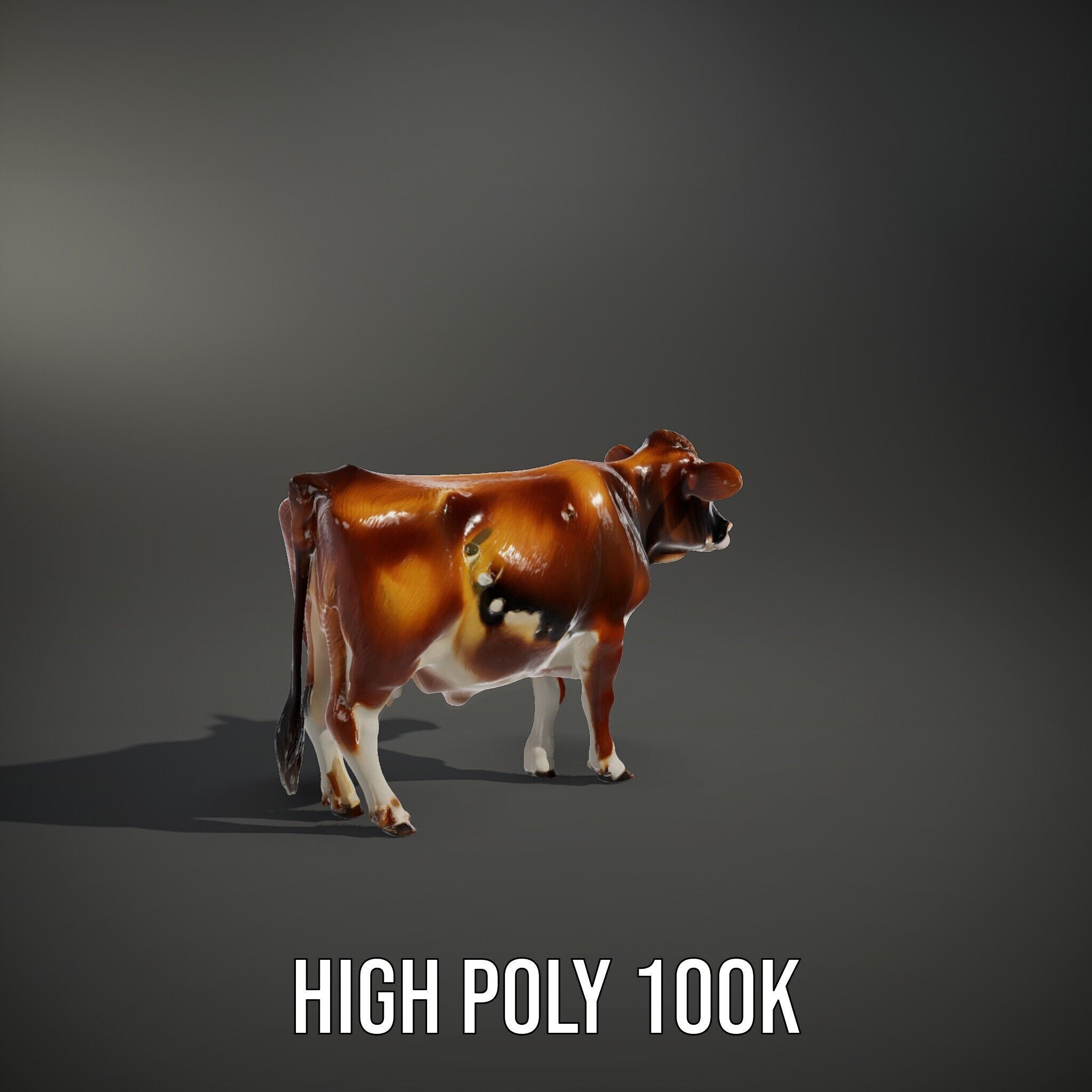 Realistic Cow Model Pack for Animation and Simulation Low-poly 3D model_8