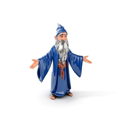 Wise Wizard Character Model  Rigged and Animated Low-poly 3D model