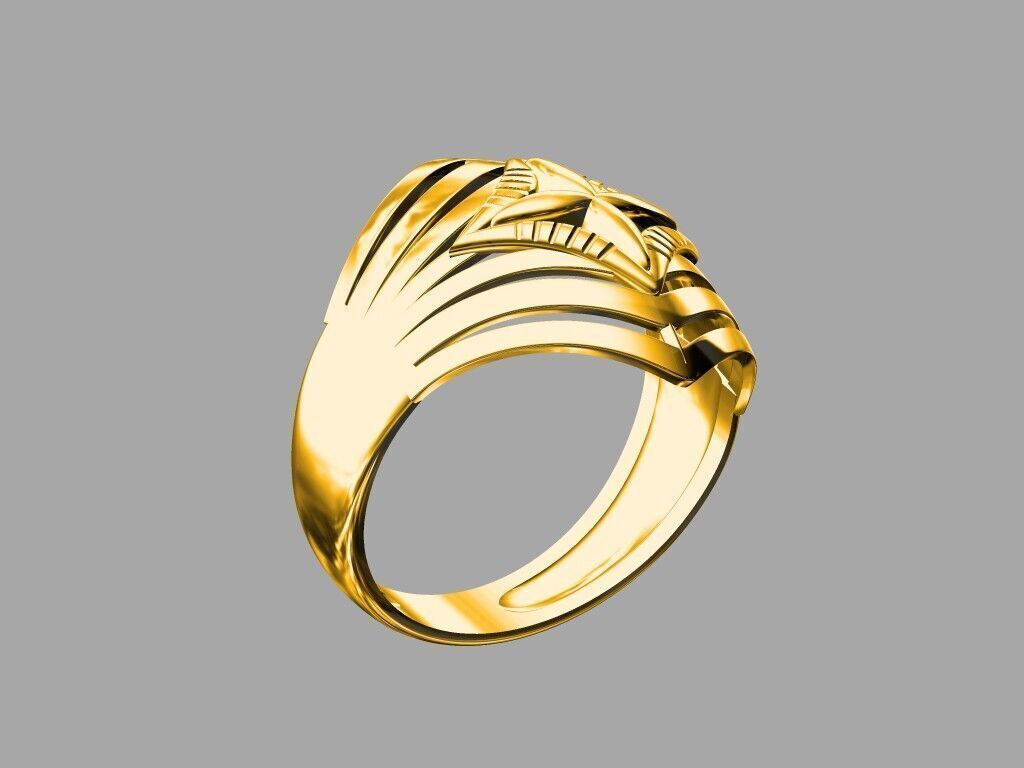 A unique Ring  3D print model_1