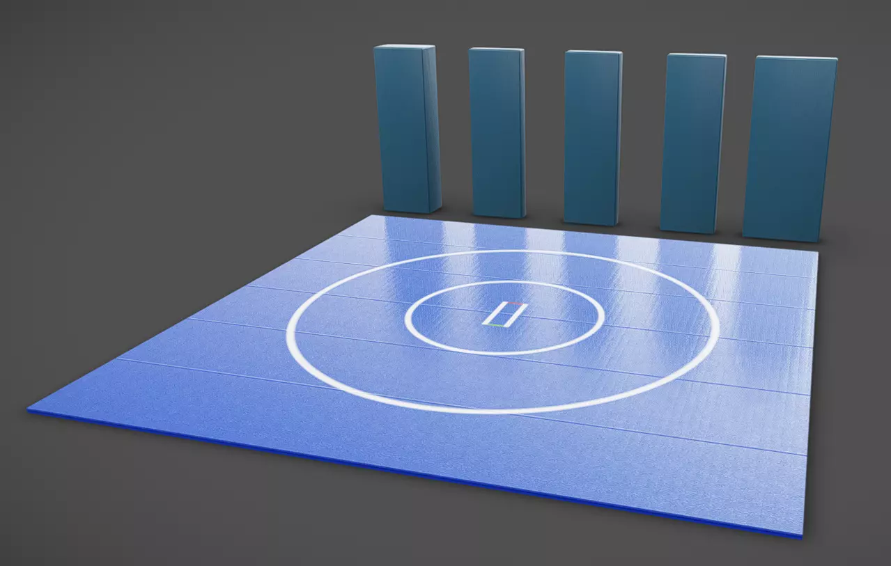 Fight Pads Low-poly 3D model