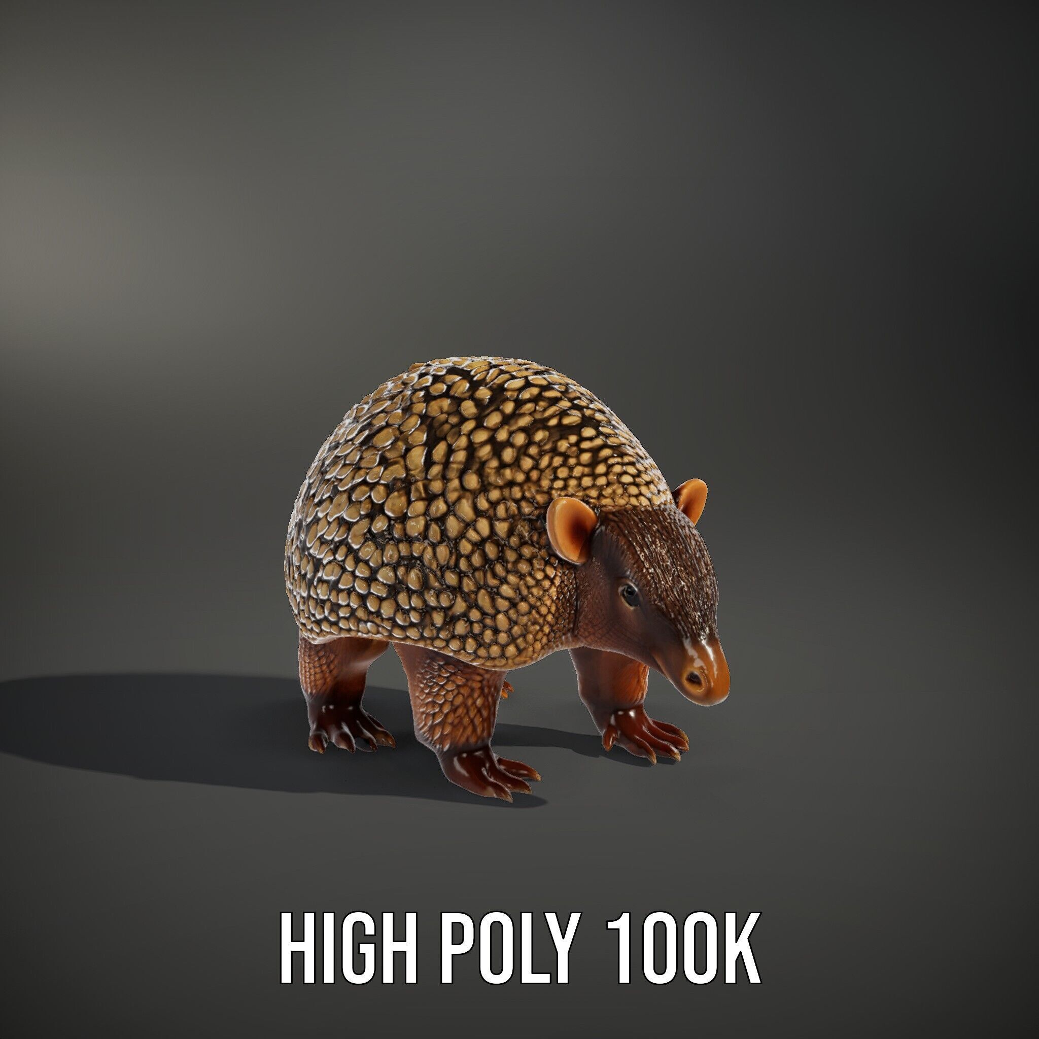 Armadillo D Model Pack with Textured Shell Low-poly 3D model_8