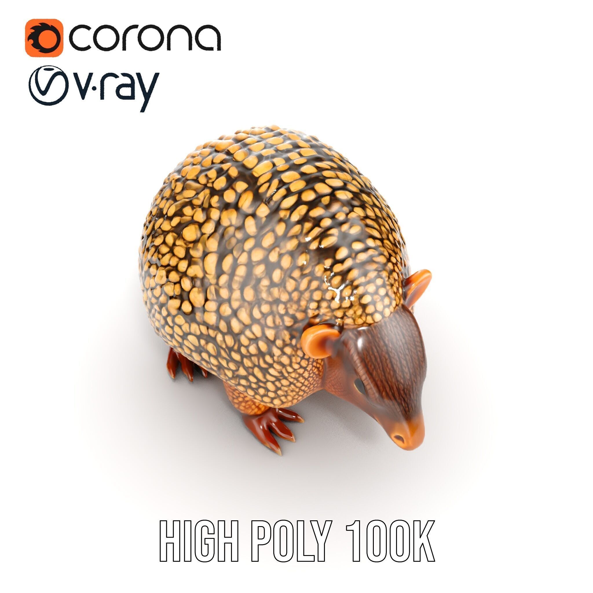 Armadillo D Model Pack with Textured Shell Low-poly 3D model_32