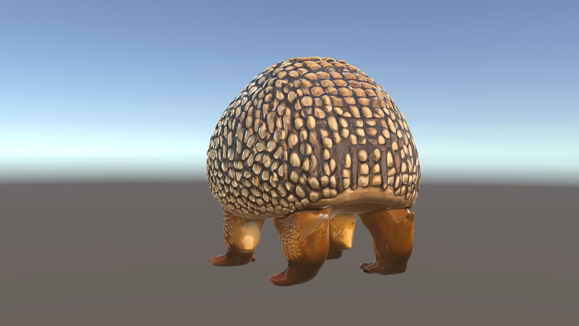 Armadillo D Model Pack with Textured Shell Low-poly 3D model_5