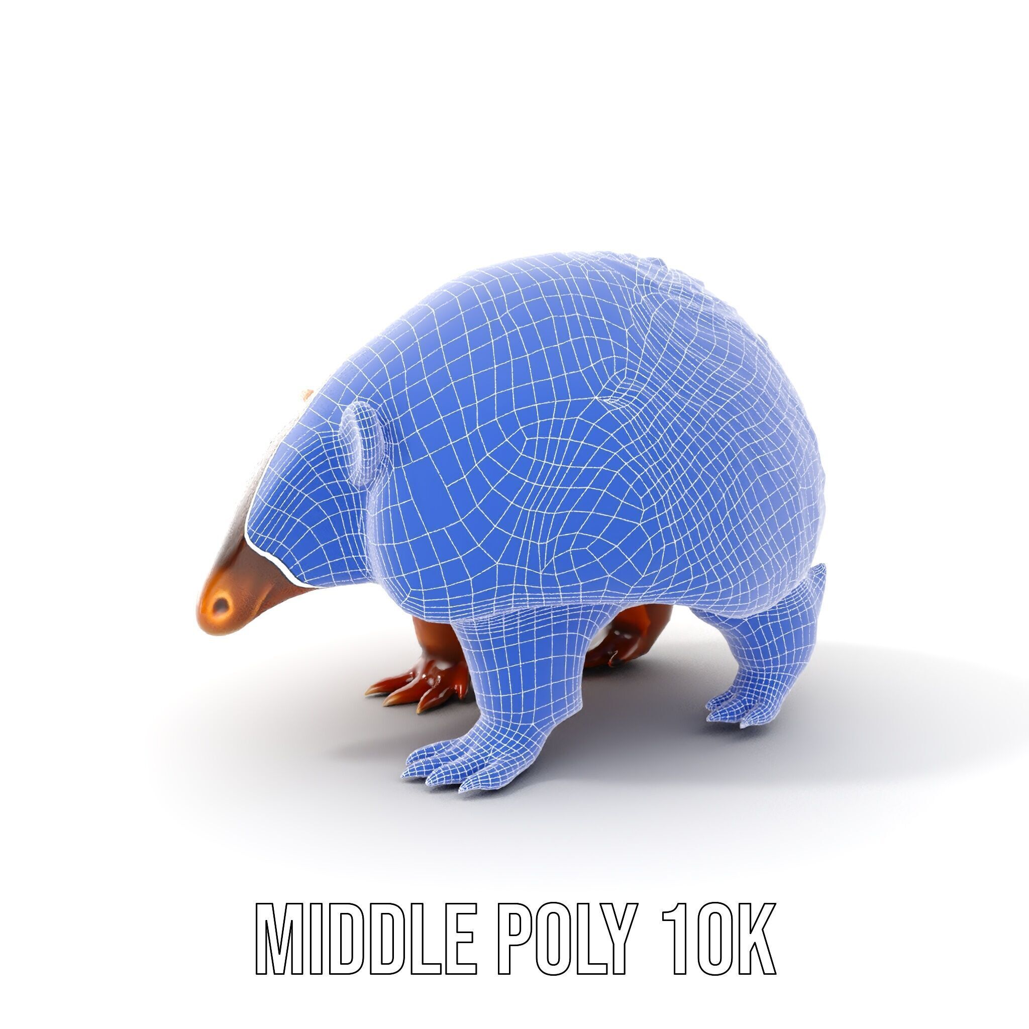 Armadillo D Model Pack with Textured Shell Low-poly 3D model_30