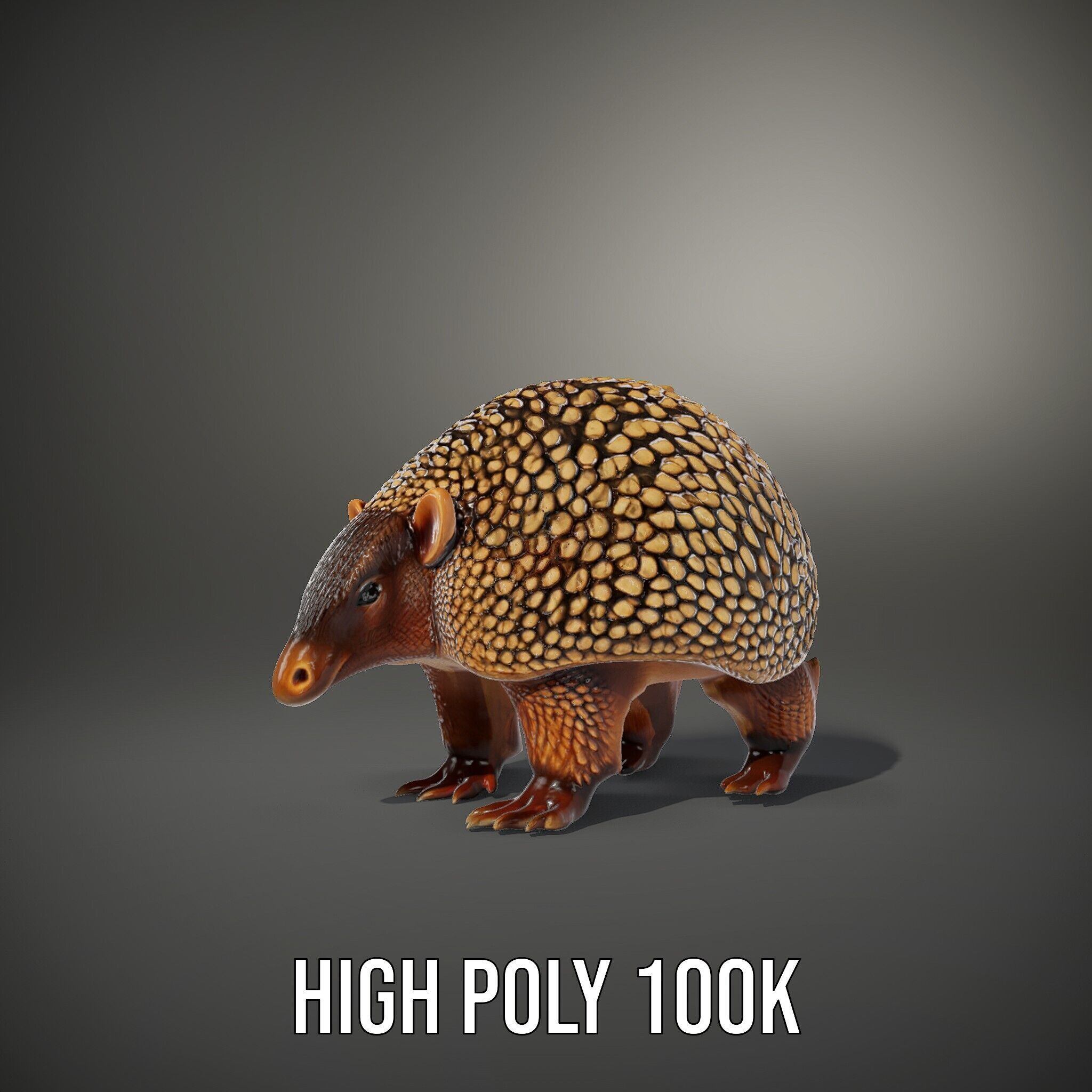 Armadillo D Model Pack with Textured Shell Low-poly 3D model_11