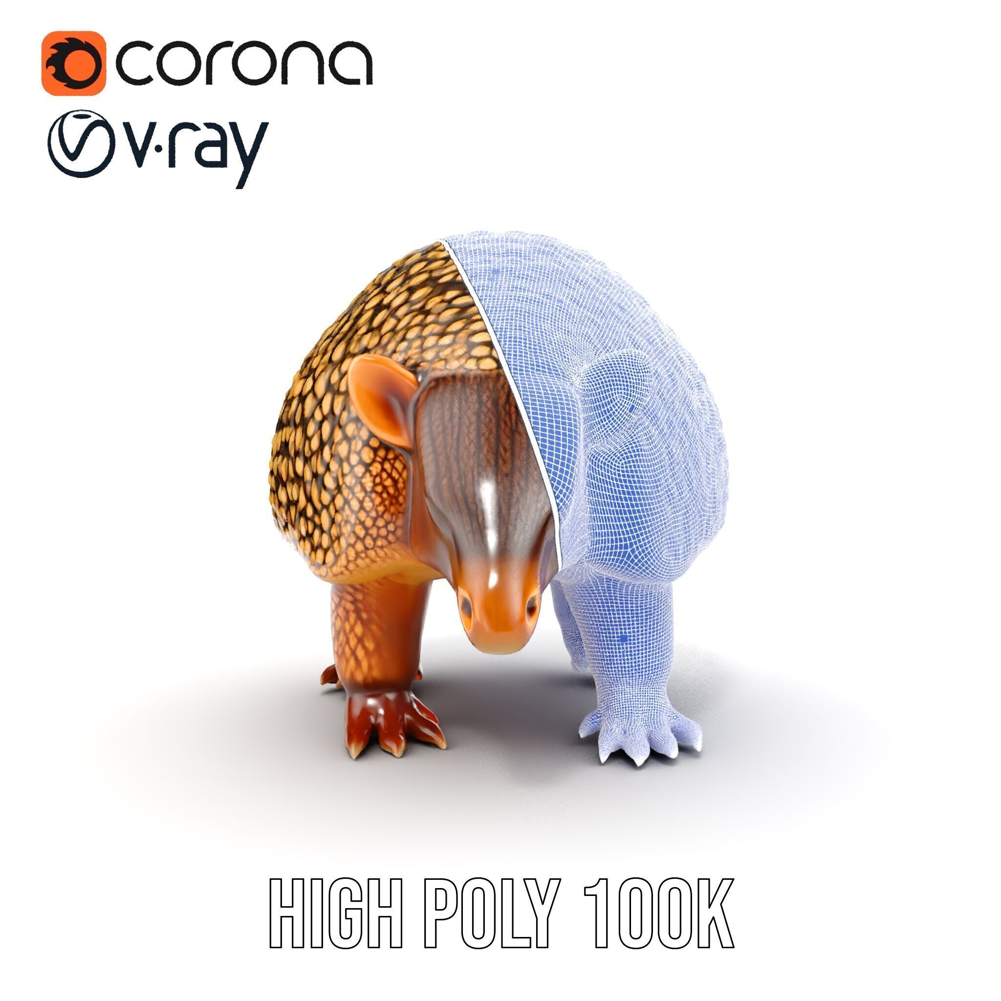 Armadillo D Model Pack with Textured Shell Low-poly 3D model_37
