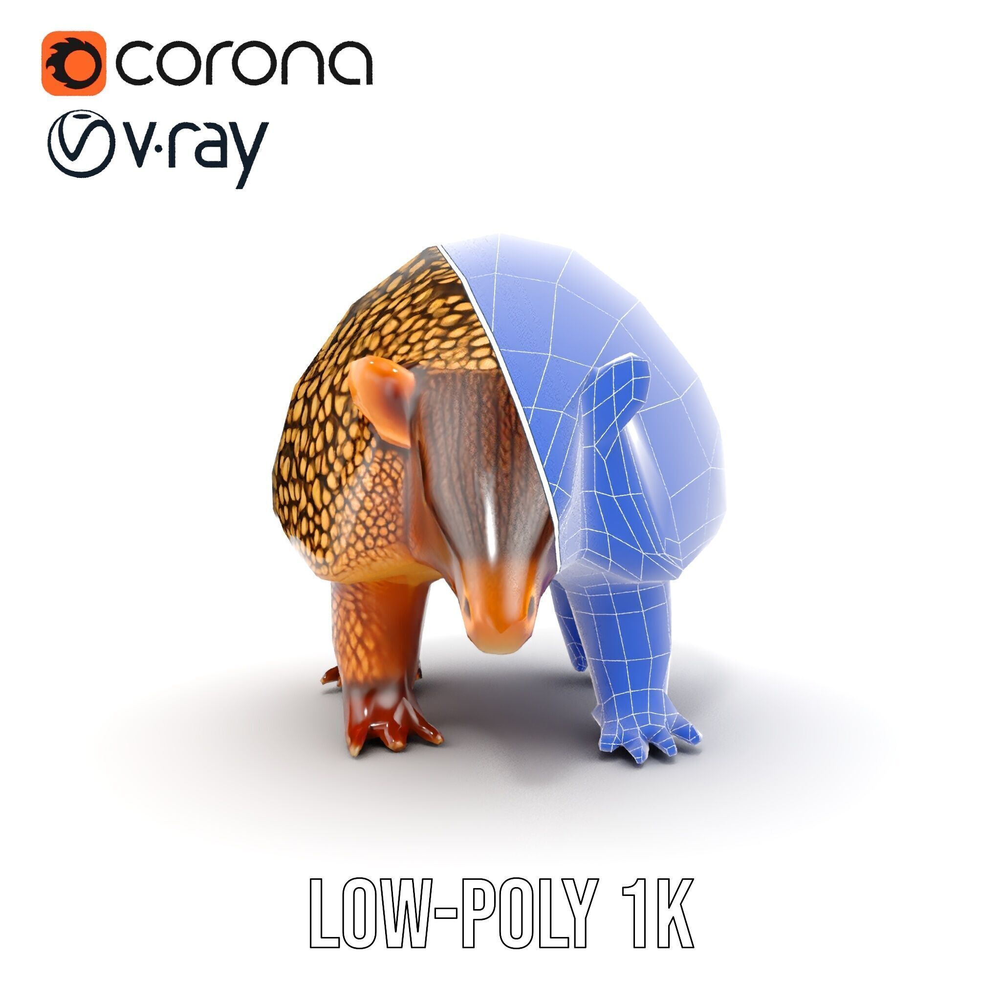 Armadillo D Model Pack with Textured Shell Low-poly 3D model_20