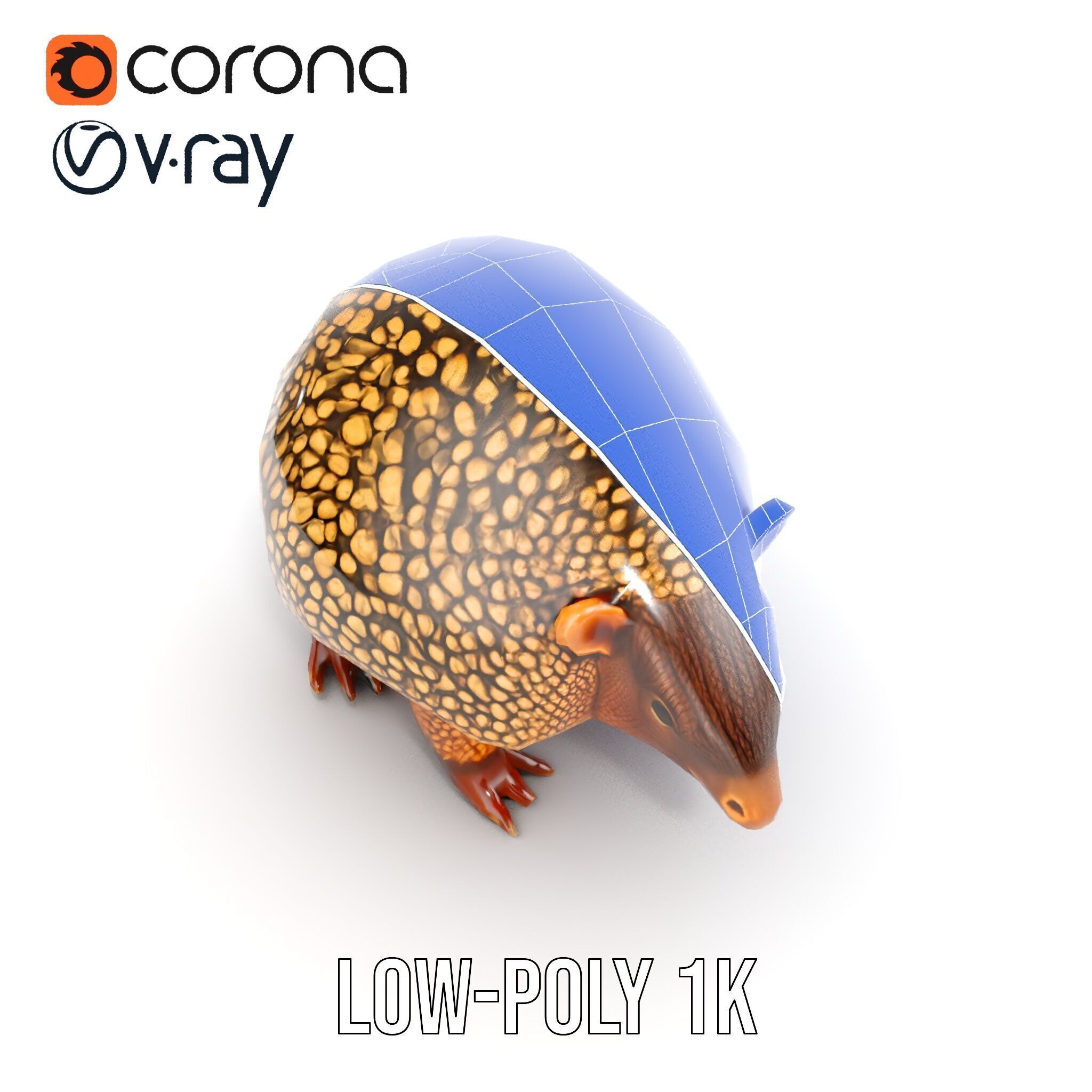 Armadillo D Model Pack with Textured Shell Low-poly 3D model_16
