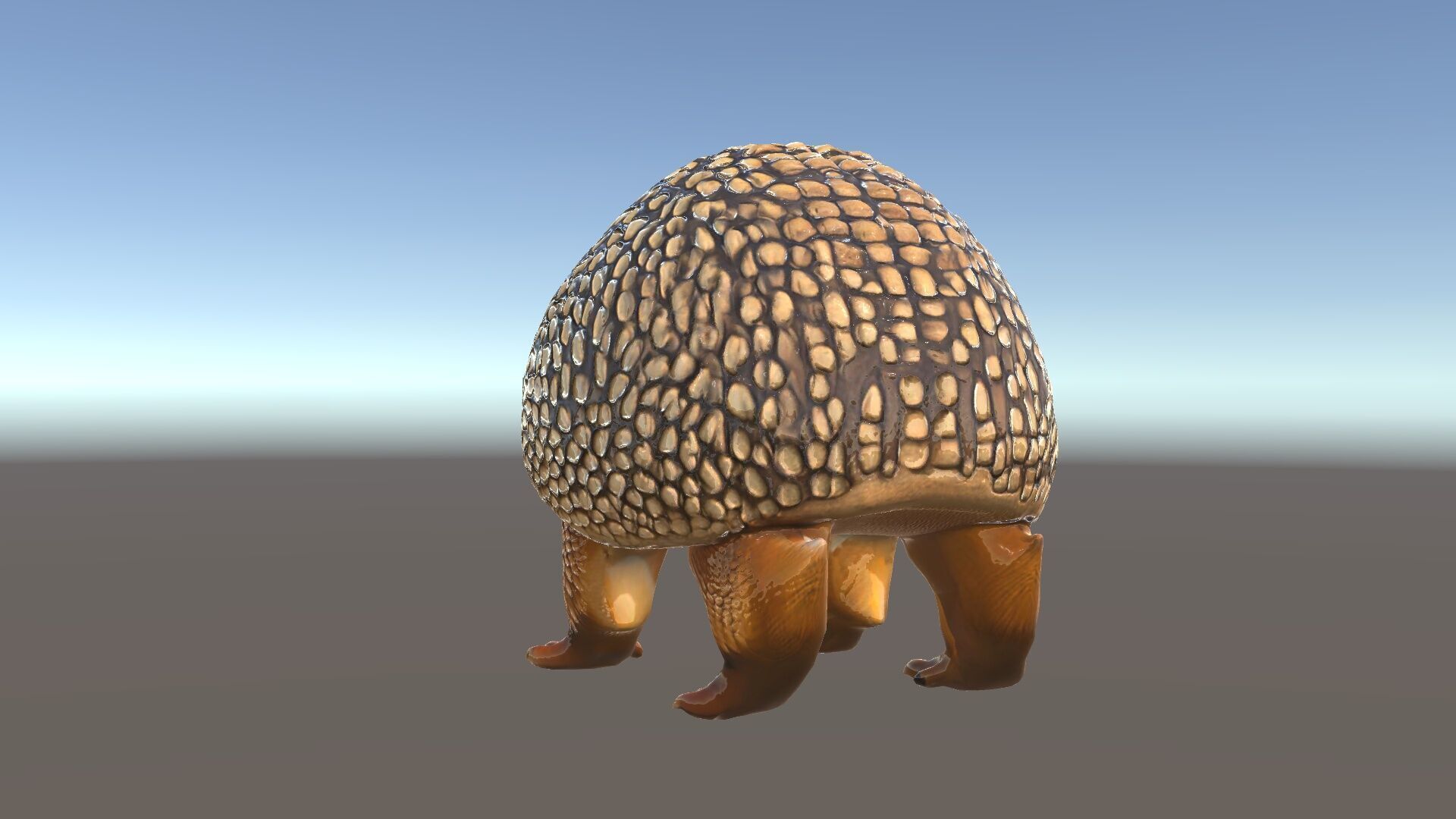 Armadillo D Model Pack with Textured Shell Low-poly 3D model_33
