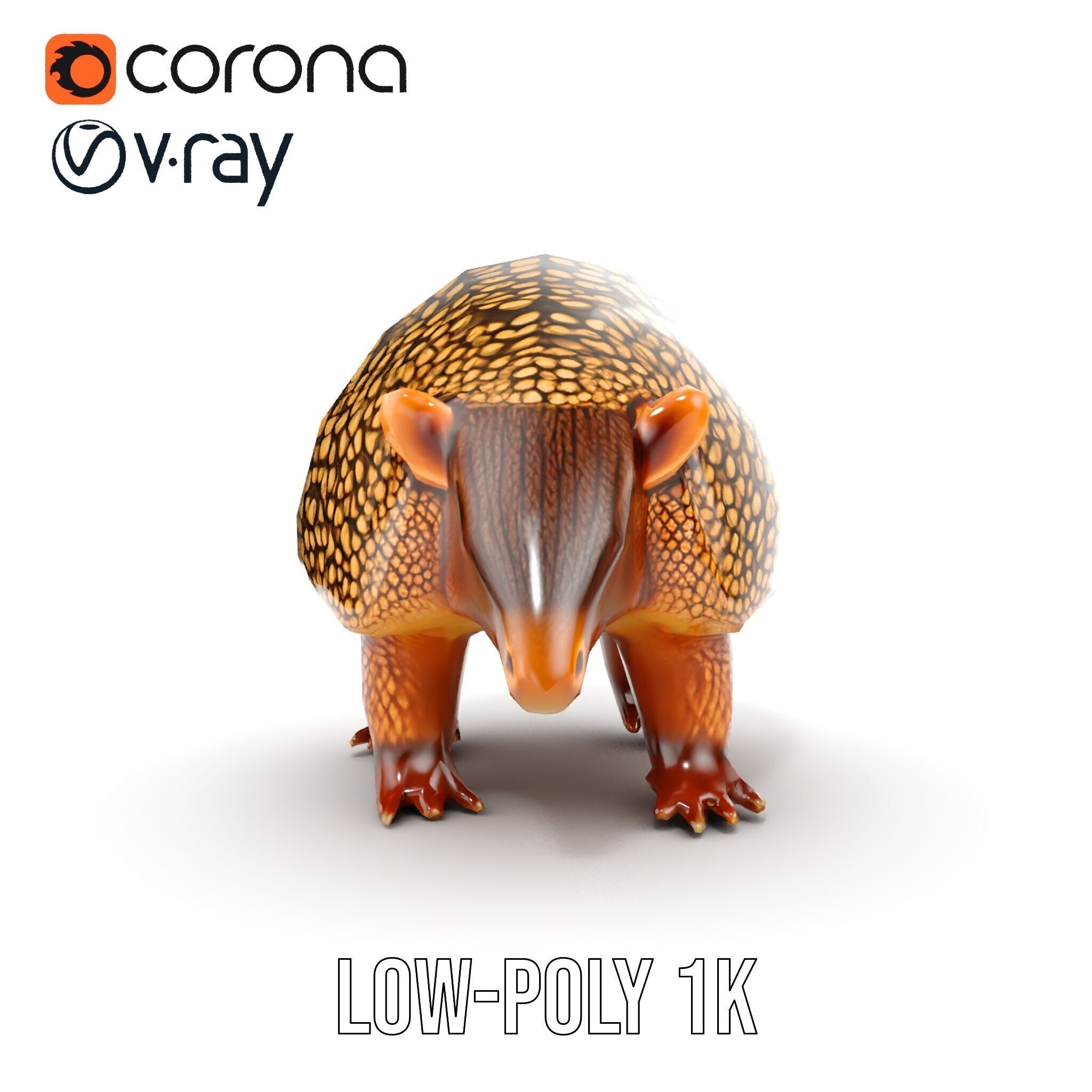 Armadillo D Model Pack with Textured Shell Low-poly 3D model_31