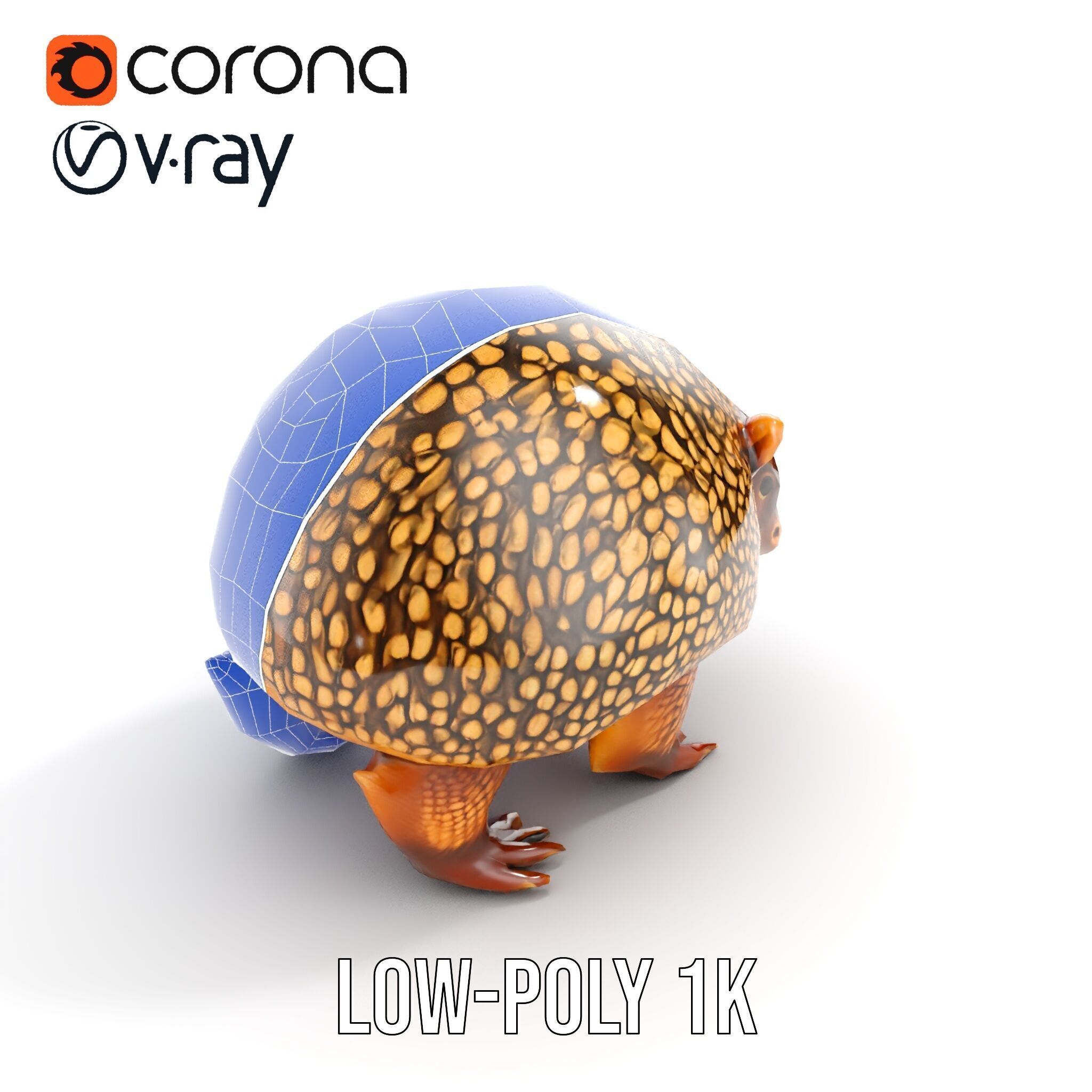 Armadillo D Model Pack with Textured Shell Low-poly 3D model_18