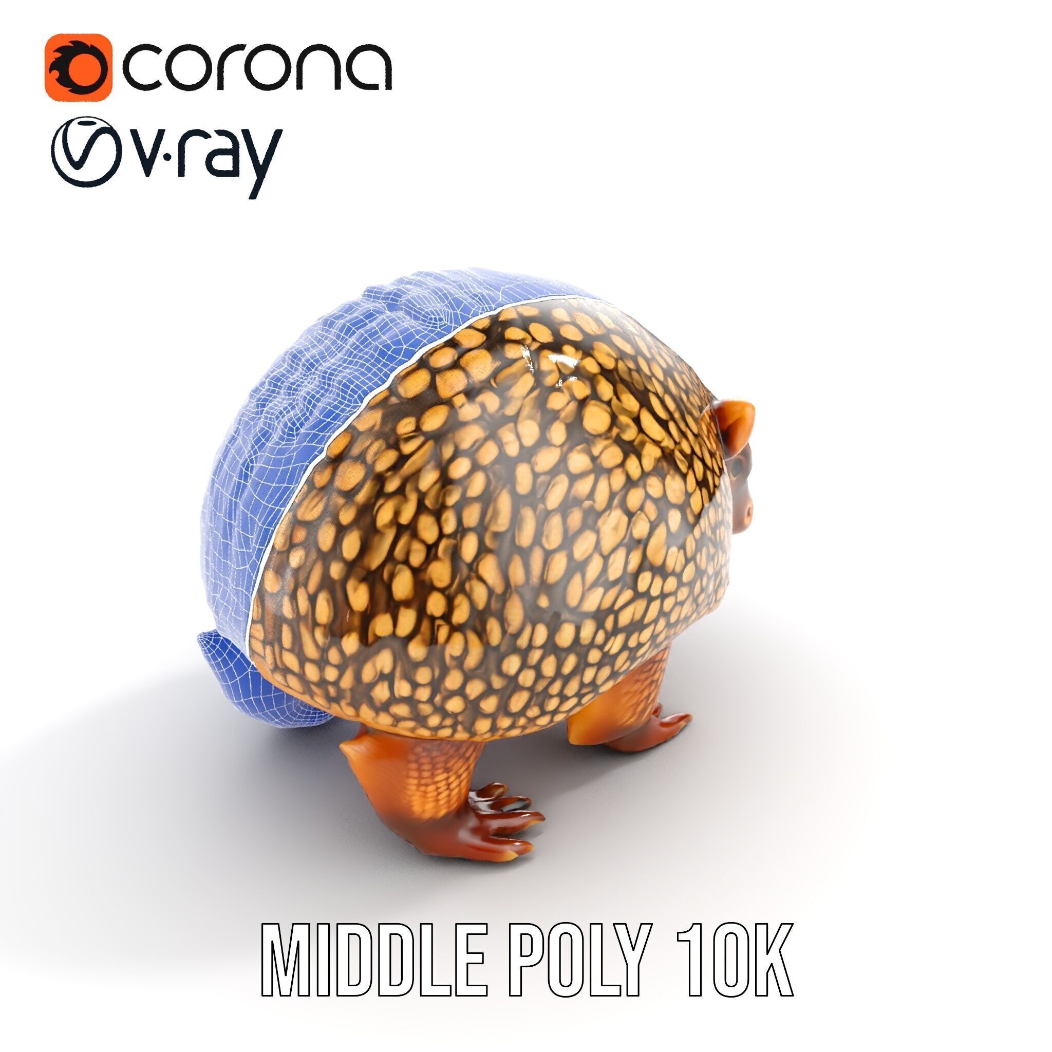 Armadillo D Model Pack with Textured Shell Low-poly 3D model_27