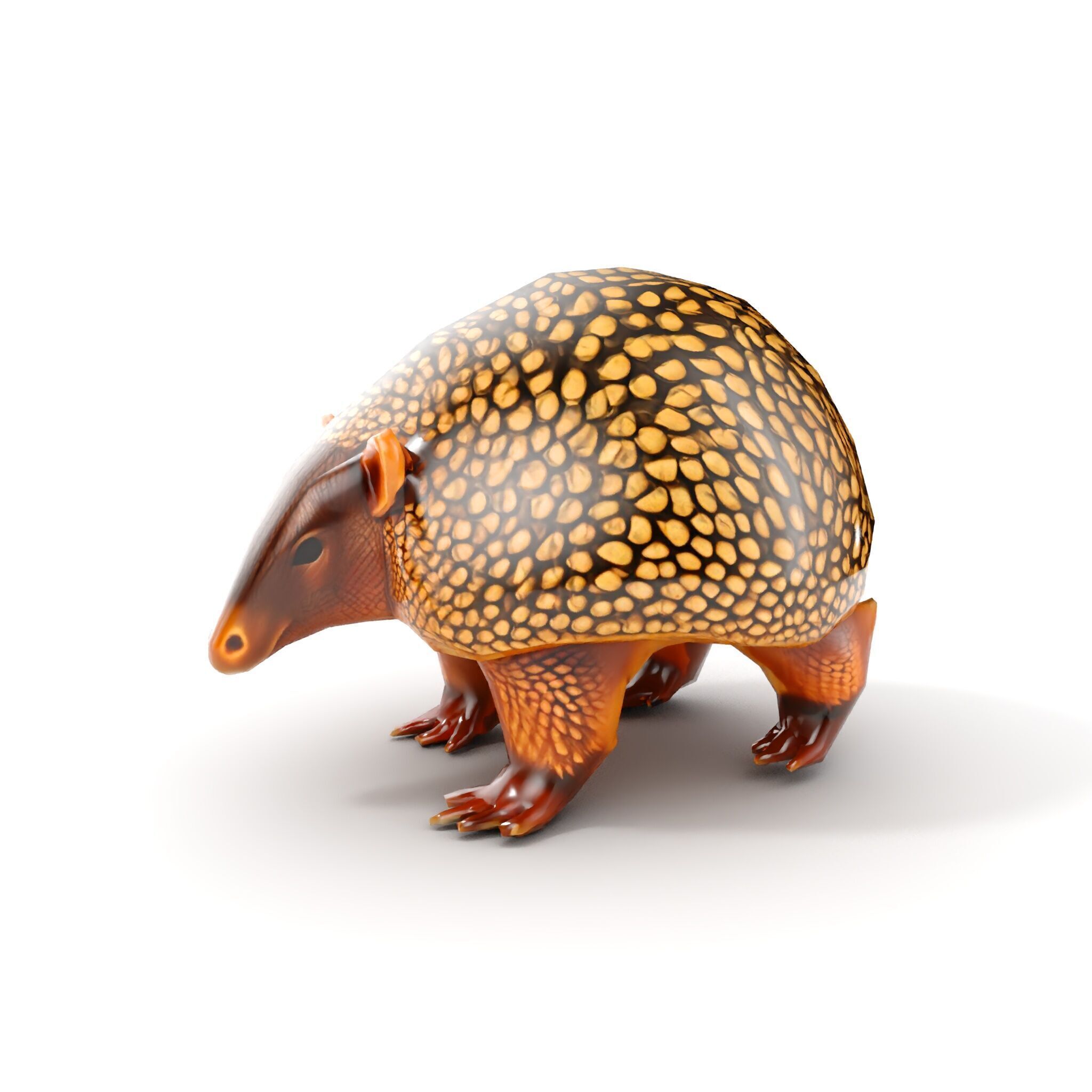 Armadillo D Model Pack with Textured Shell Low-poly 3D model_7