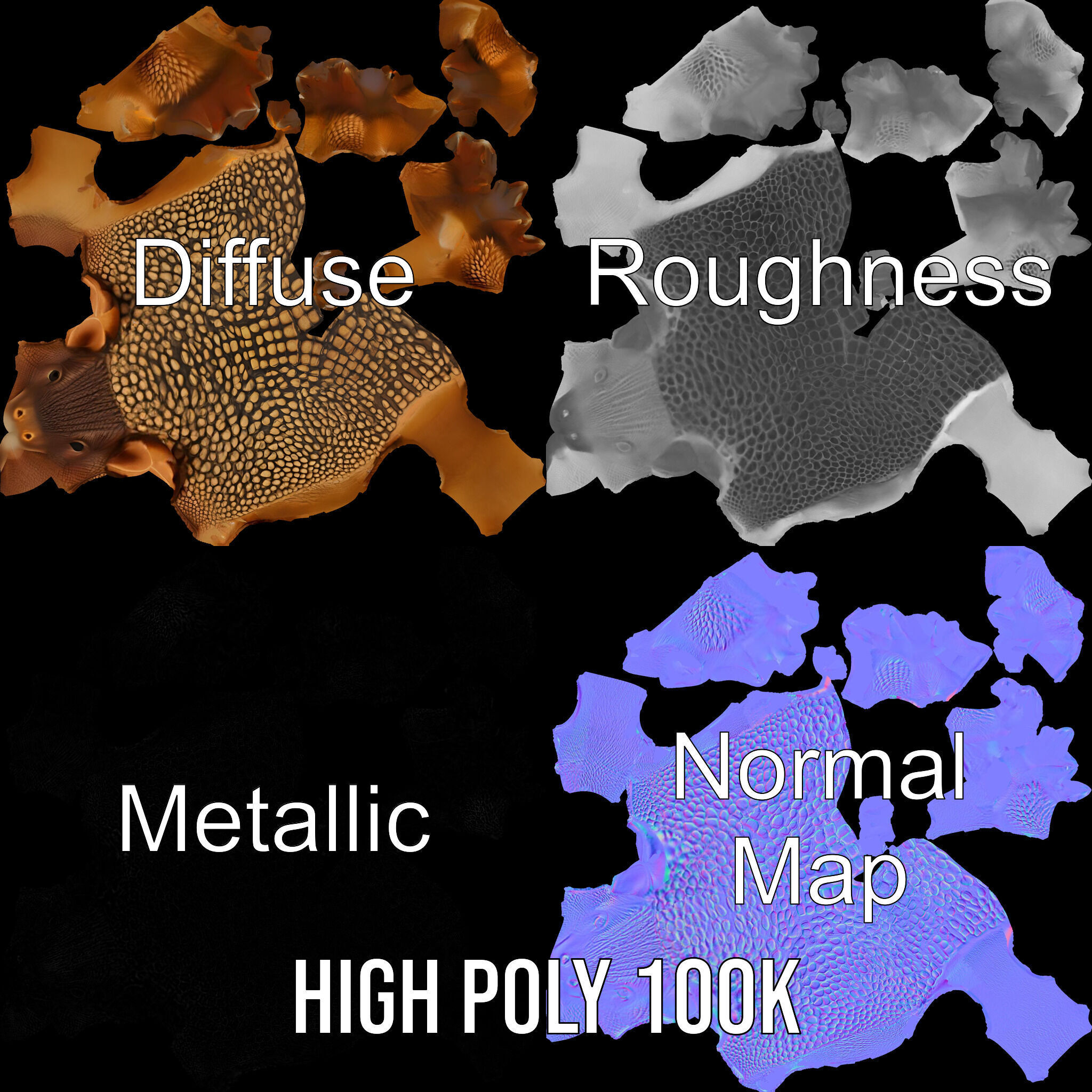 Armadillo D Model Pack with Textured Shell Low-poly 3D model_3