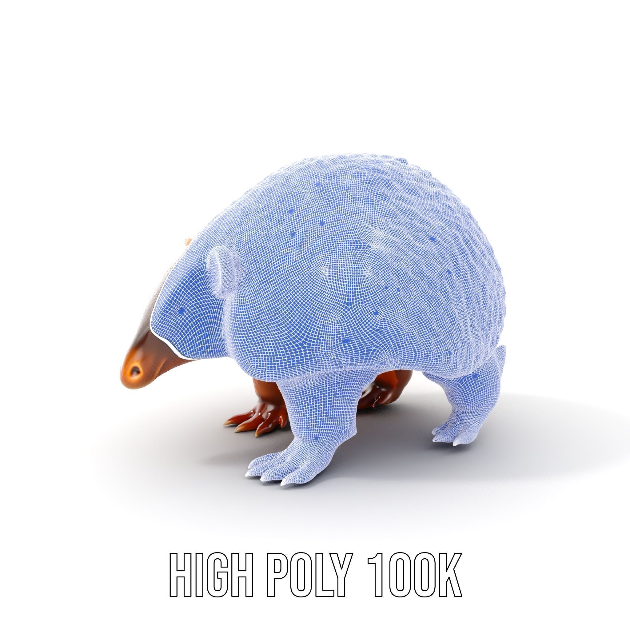 Armadillo D Model Pack with Textured Shell Low-poly 3D model_4