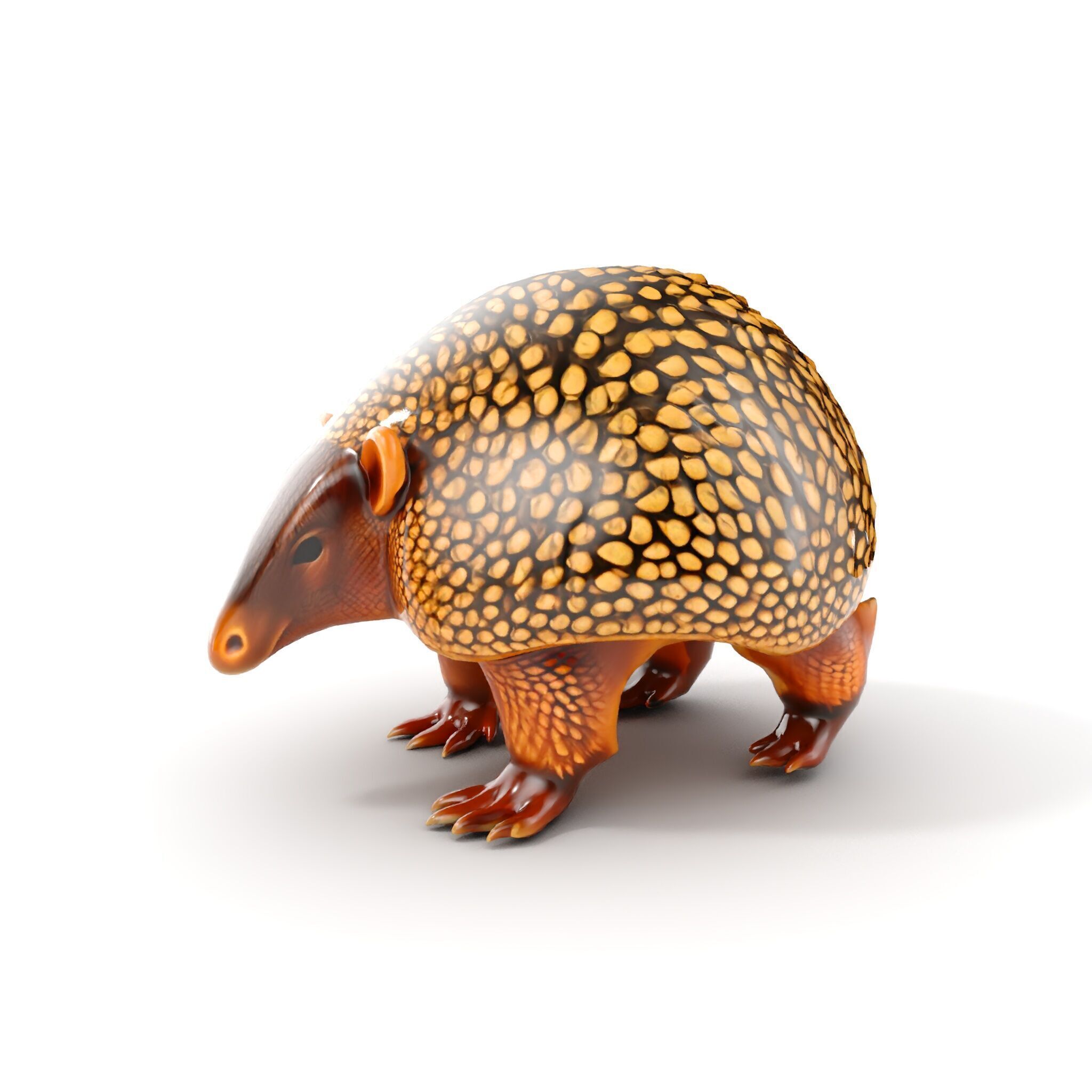 Armadillo D Model Pack with Textured Shell Low-poly 3D model_6