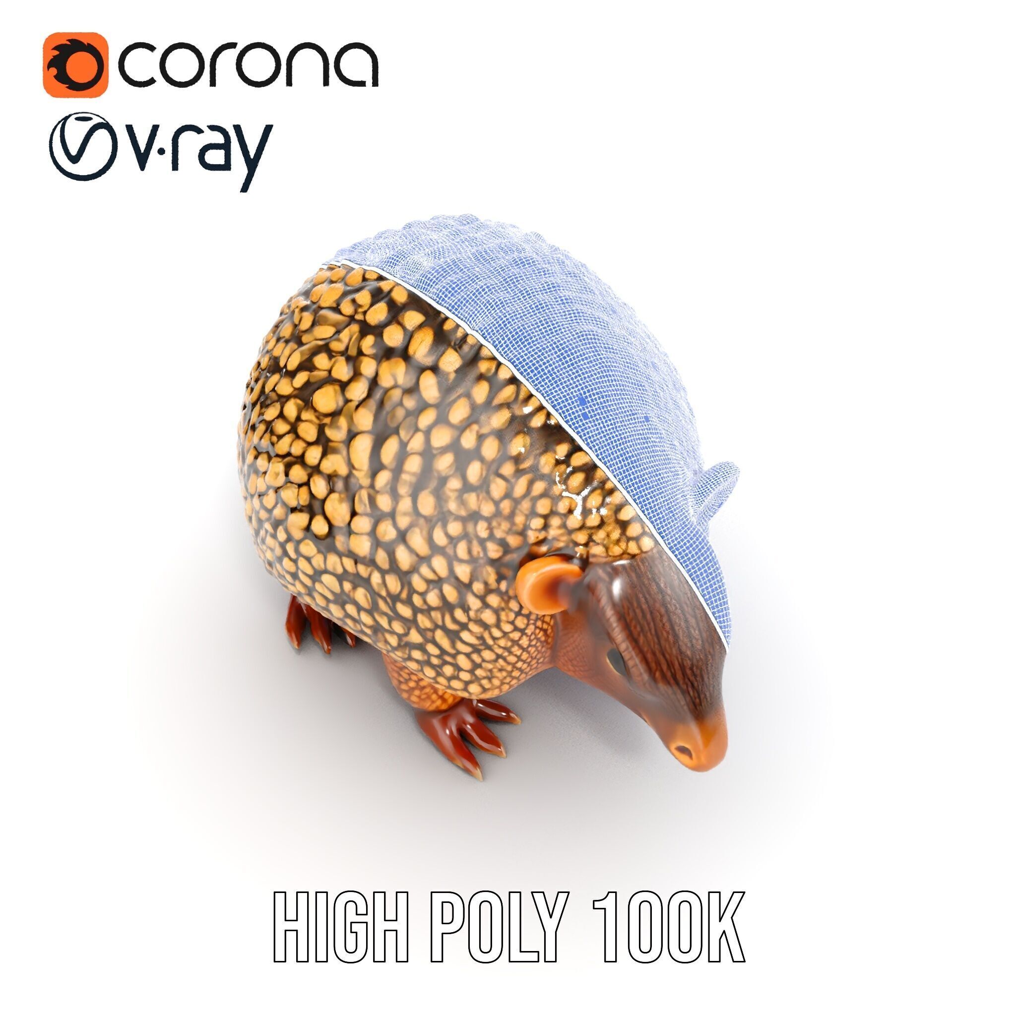 Armadillo D Model Pack with Textured Shell Low-poly 3D model_21