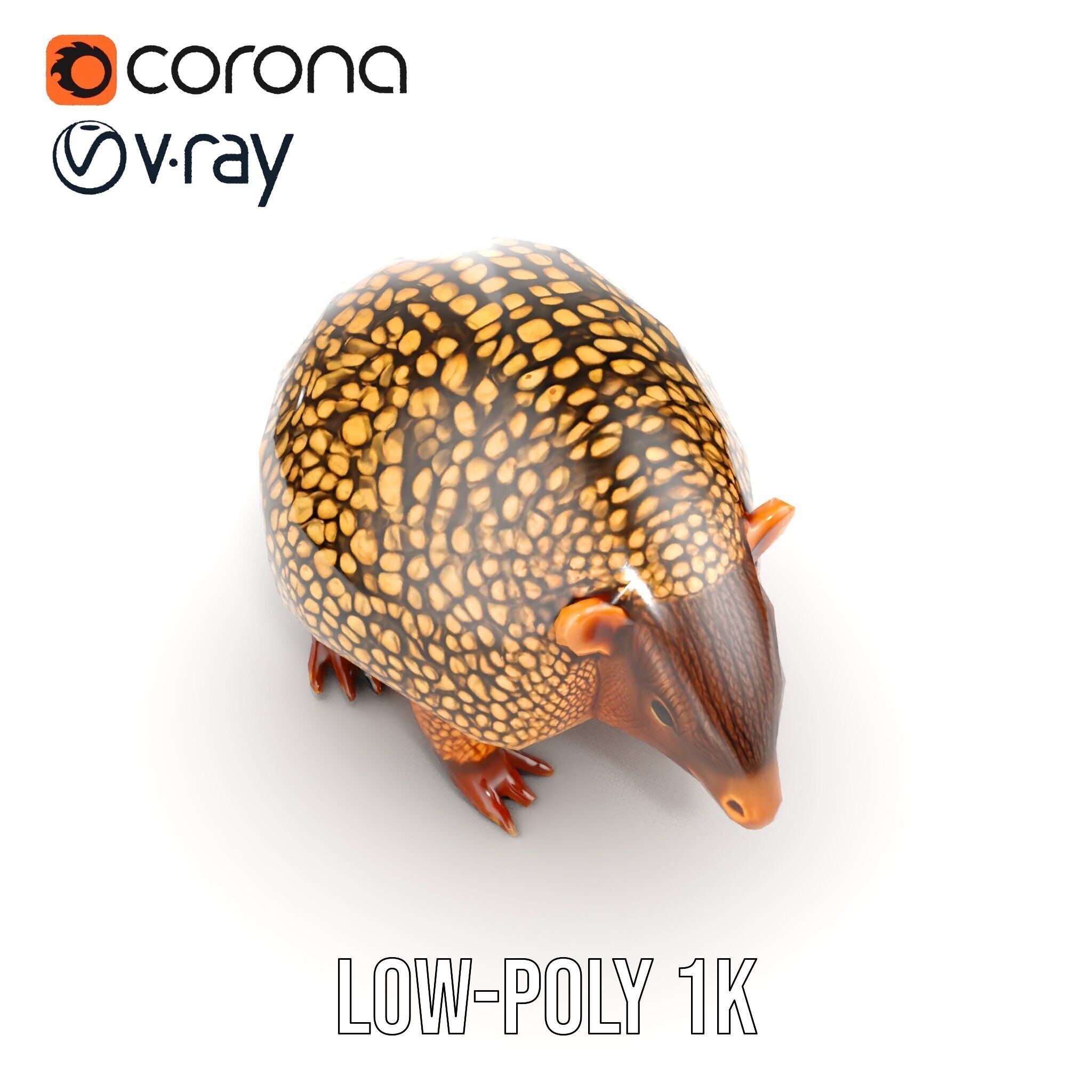 Armadillo D Model Pack with Textured Shell Low-poly 3D model_23