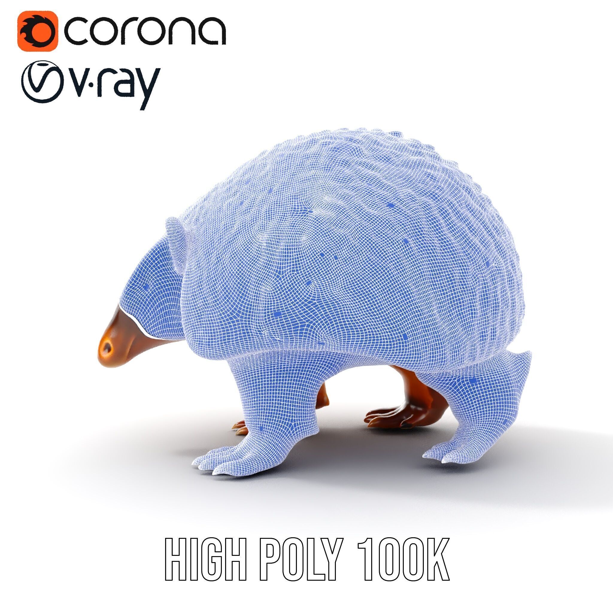 Armadillo D Model Pack with Textured Shell Low-poly 3D model_38