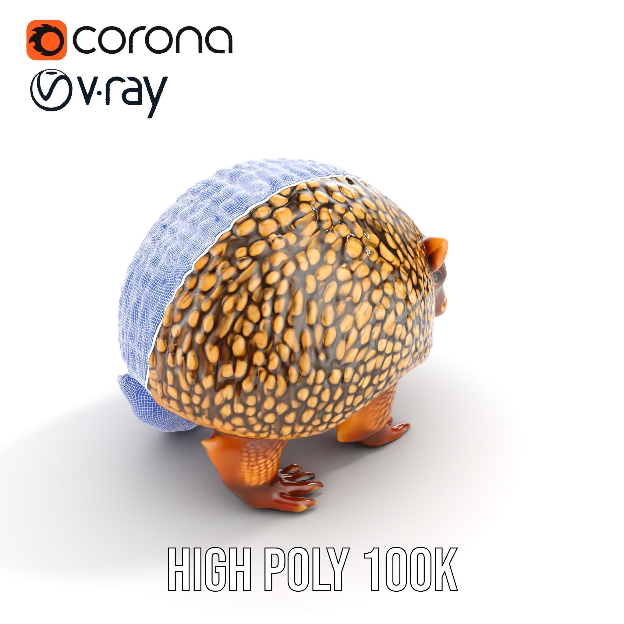 Armadillo D Model Pack with Textured Shell Low-poly 3D model_26