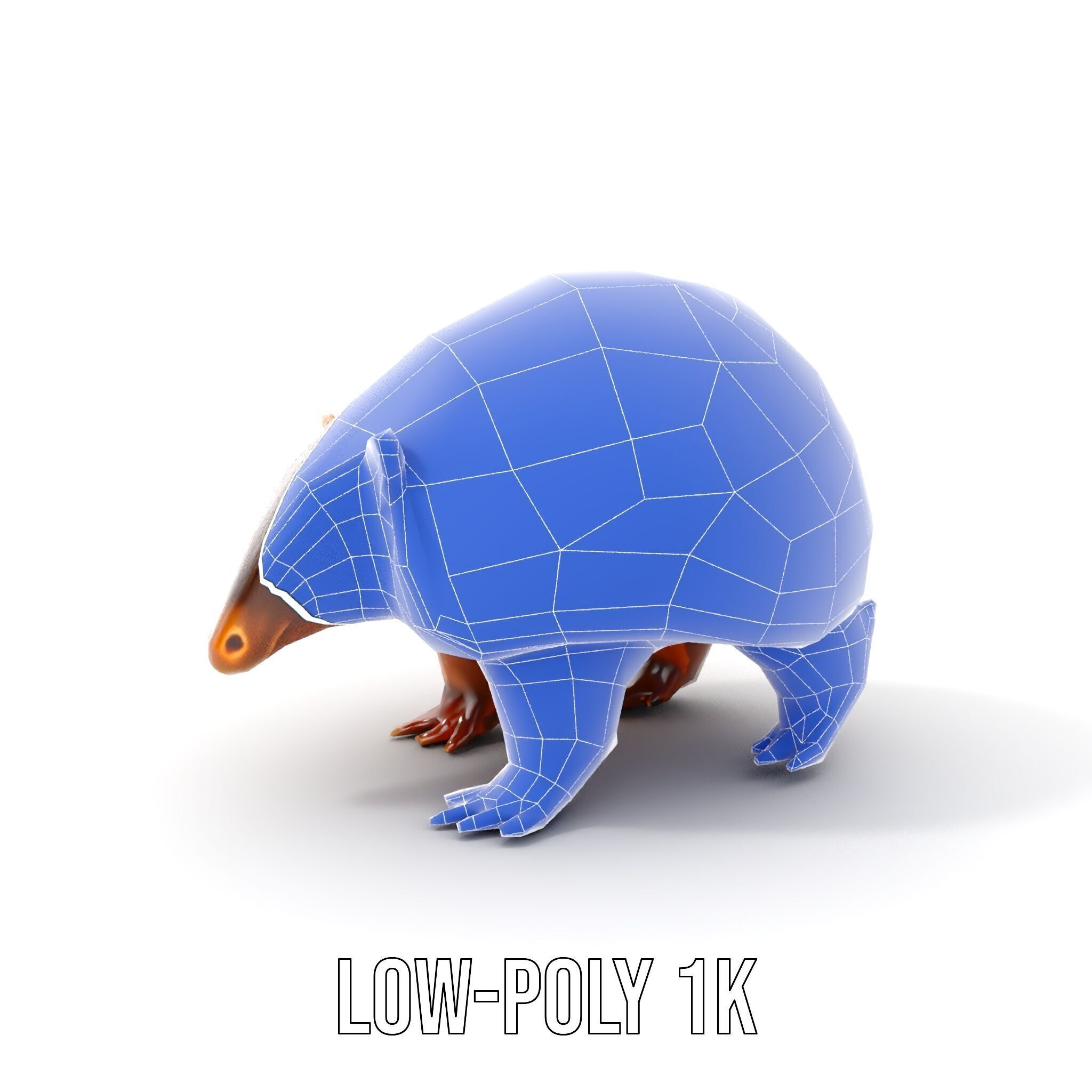 Armadillo D Model Pack with Textured Shell Low-poly 3D model_28