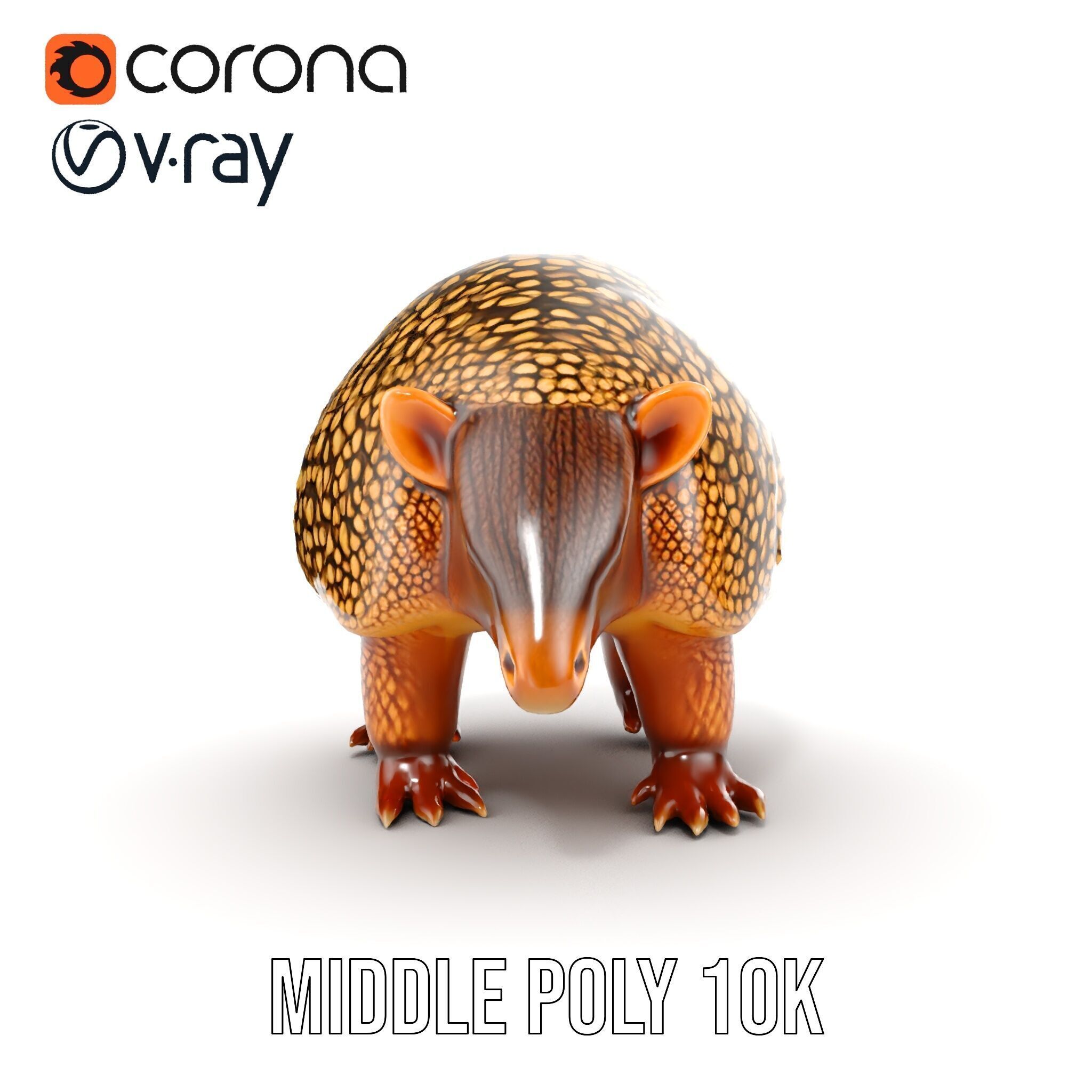Armadillo D Model Pack with Textured Shell Low-poly 3D model_22