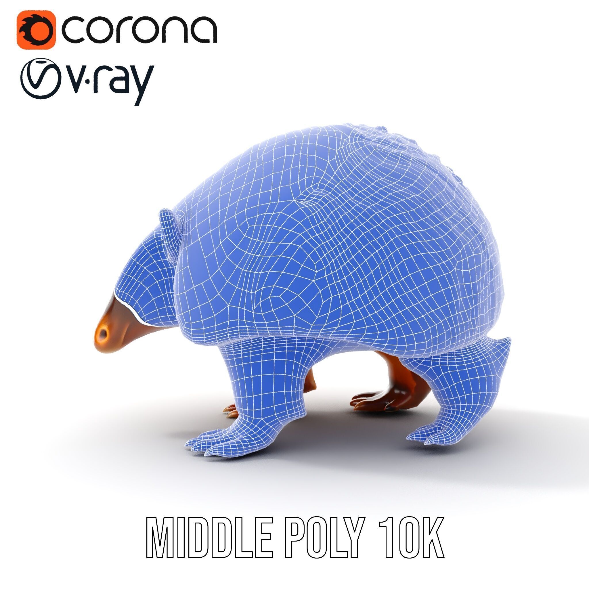 Armadillo D Model Pack with Textured Shell Low-poly 3D model_17