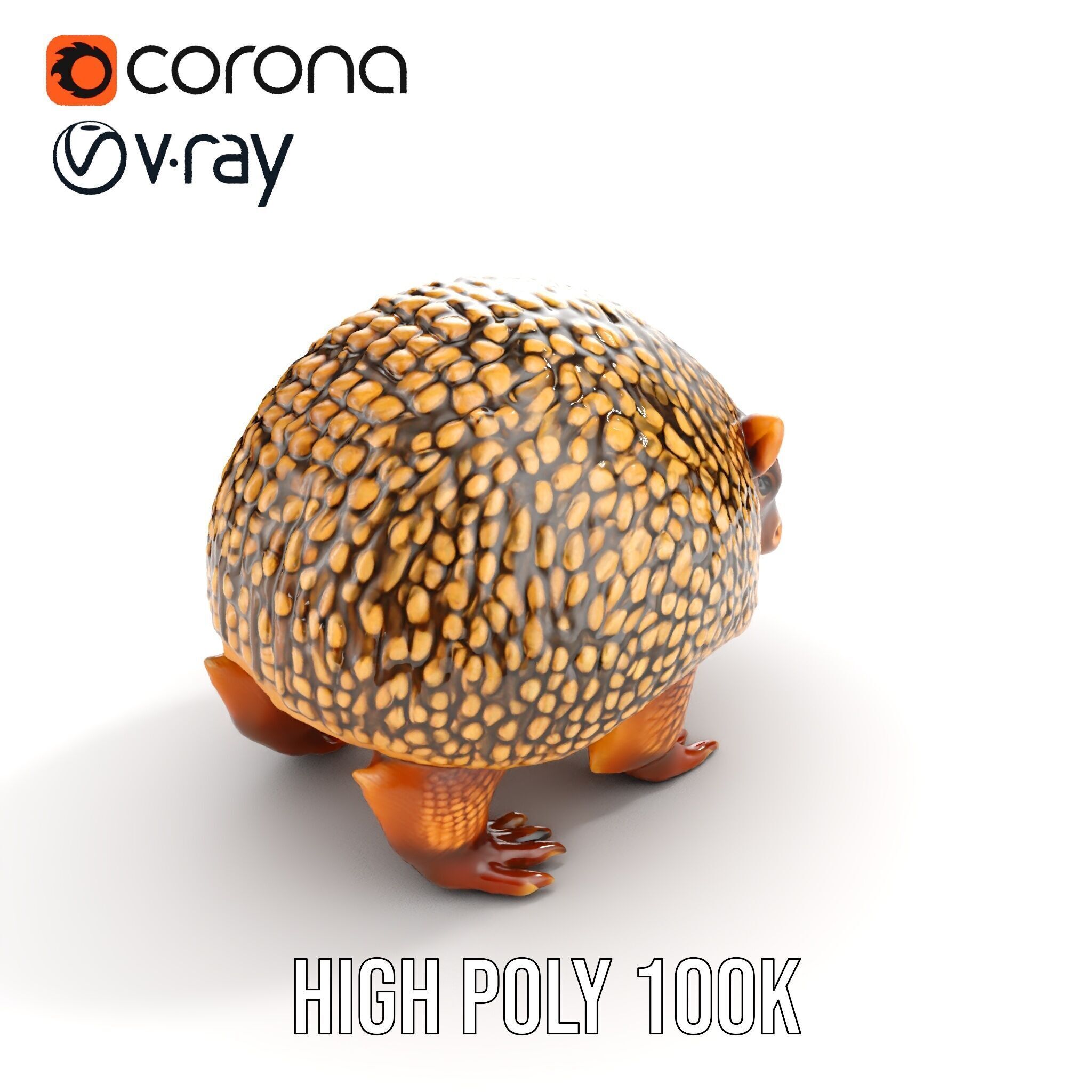 Armadillo D Model Pack with Textured Shell Low-poly 3D model_29