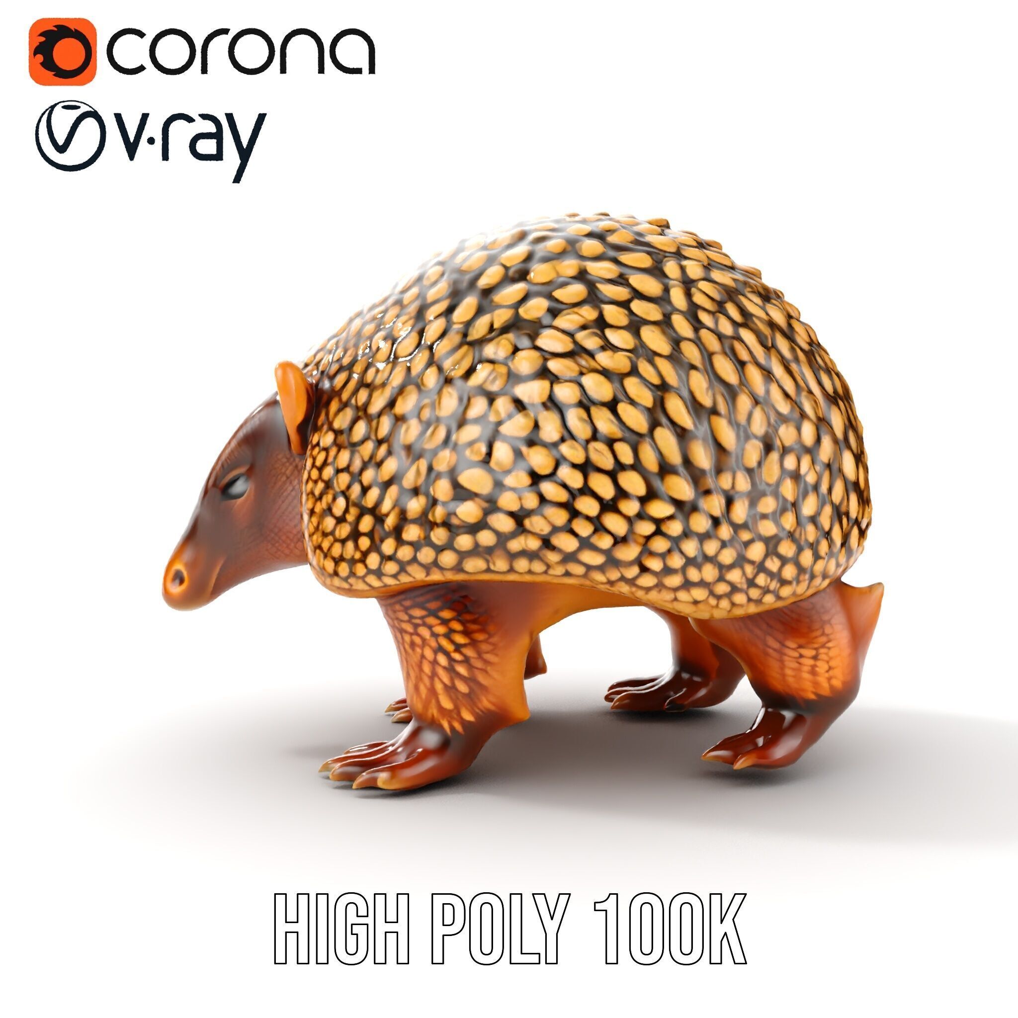 Armadillo D Model Pack with Textured Shell Low-poly 3D model_36
