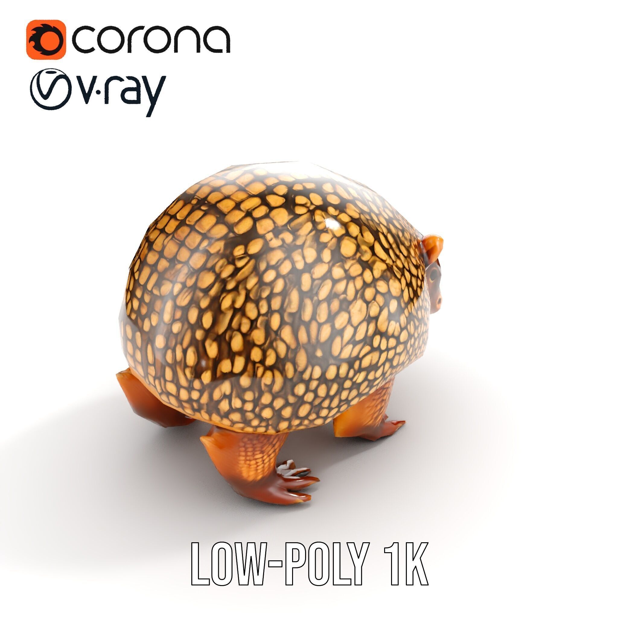 Armadillo D Model Pack with Textured Shell Low-poly 3D model_10