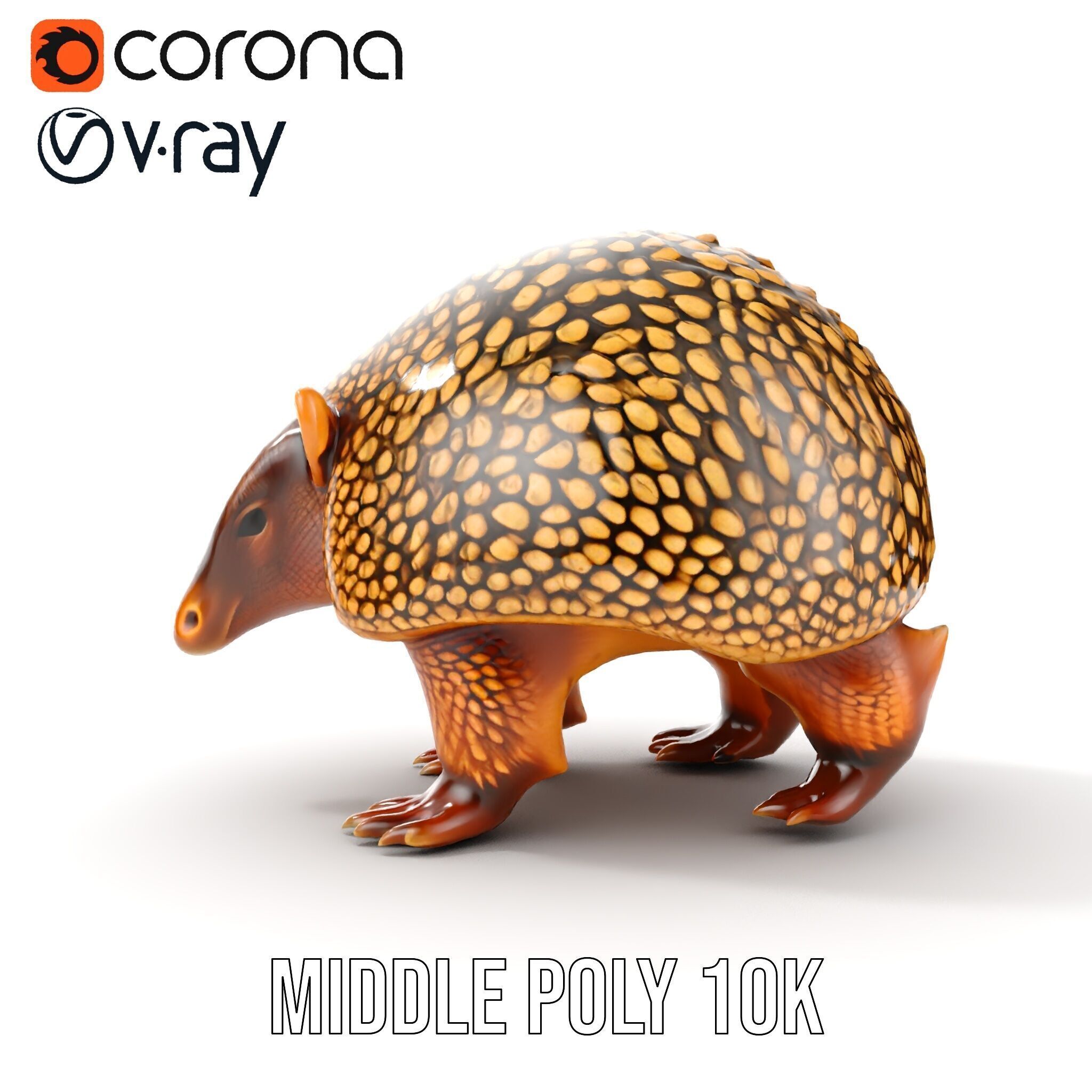 Armadillo D Model Pack with Textured Shell Low-poly 3D model_12