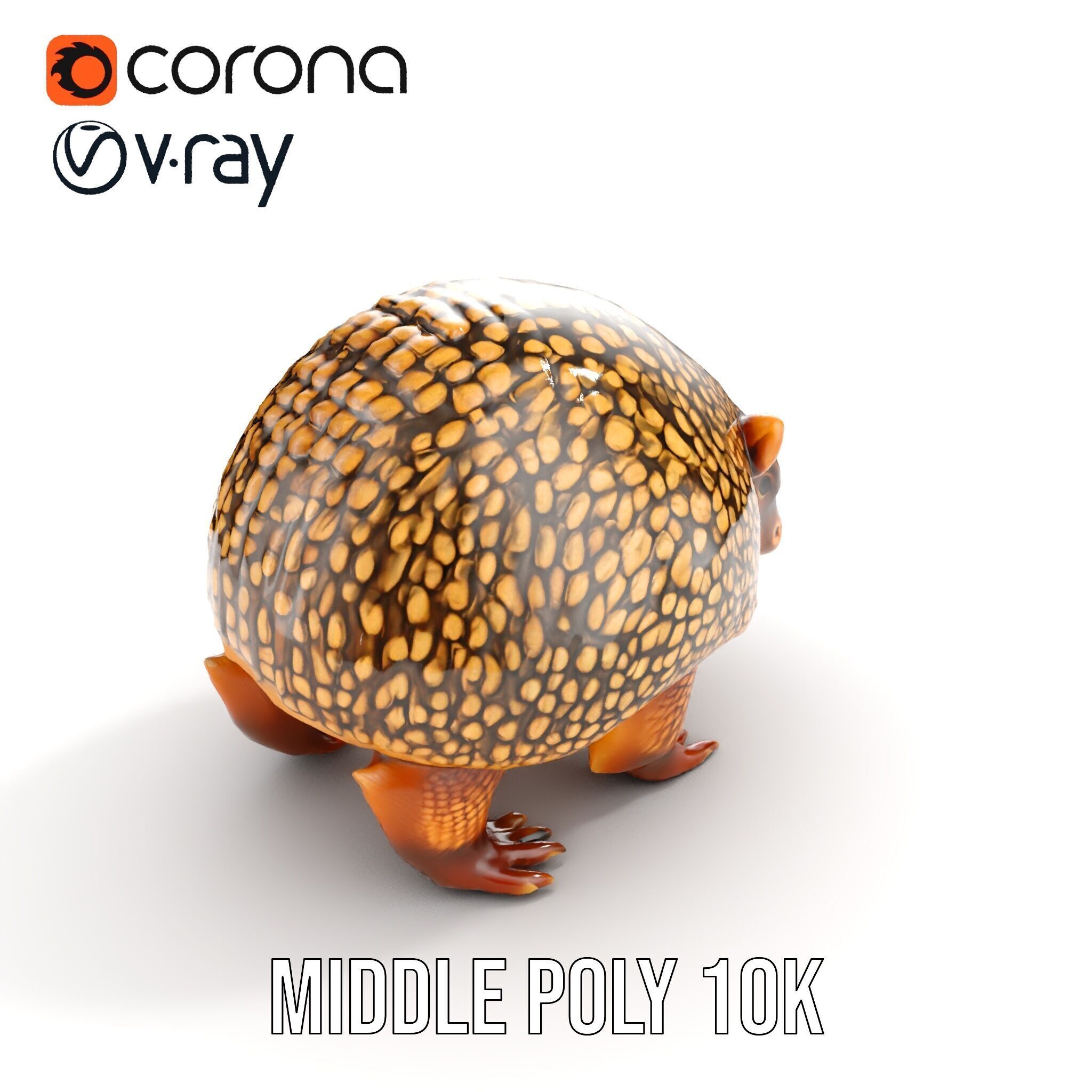 Armadillo D Model Pack with Textured Shell Low-poly 3D model_9