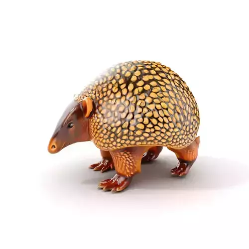 Armadillo D Model Pack with Textured Shell Low-poly 3D model
