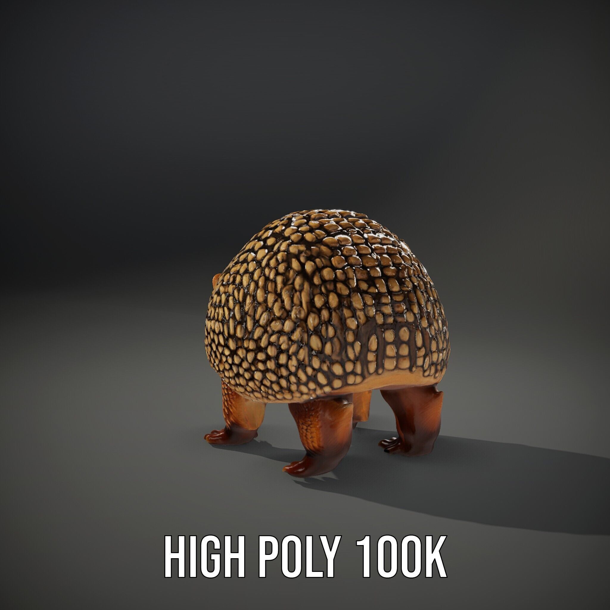 Armadillo D Model Pack with Textured Shell Low-poly 3D model_14