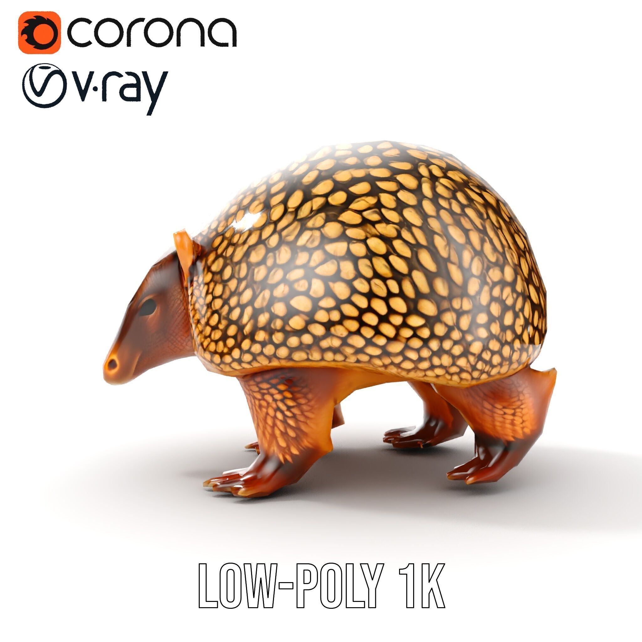 Armadillo D Model Pack with Textured Shell Low-poly 3D model_25