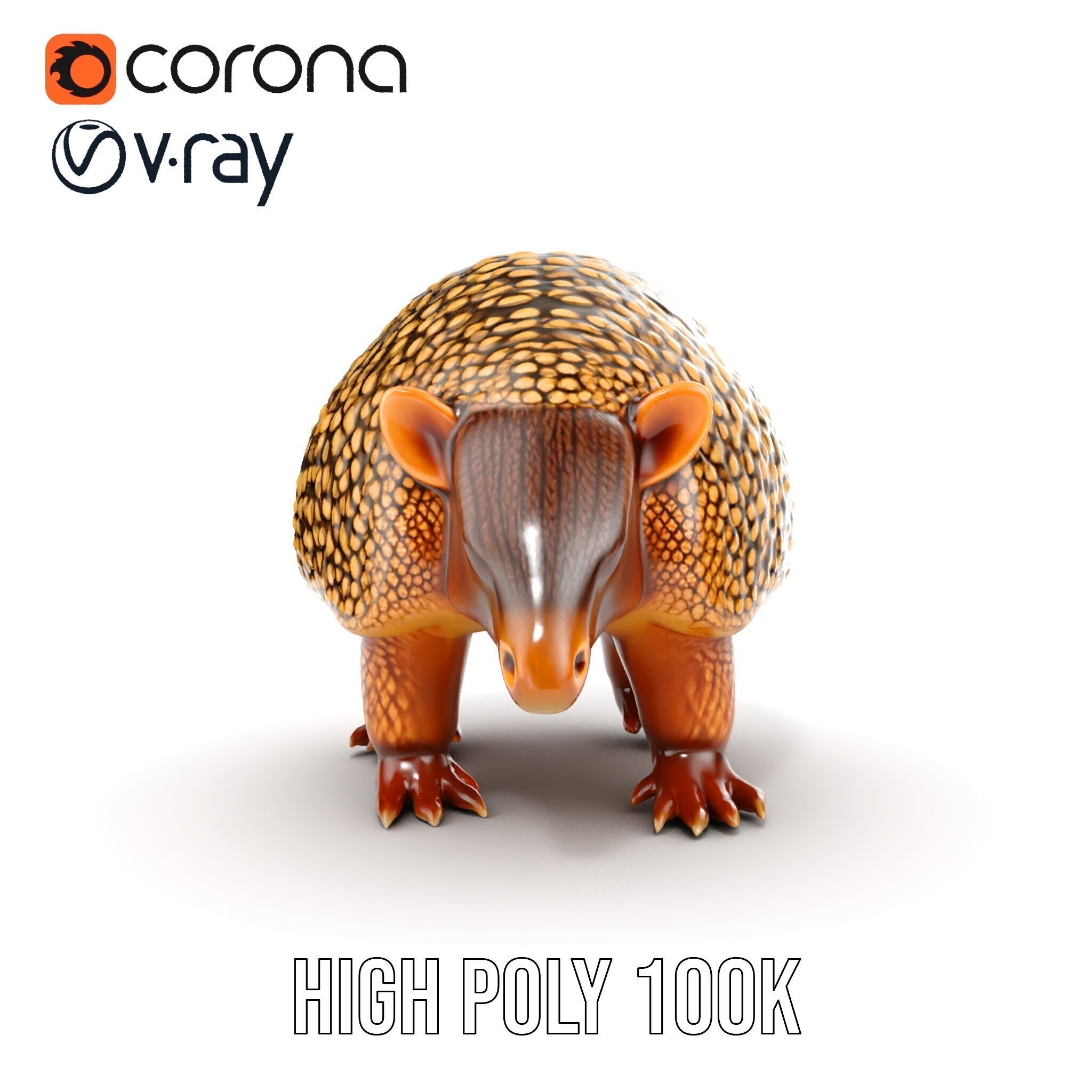 Armadillo D Model Pack with Textured Shell Low-poly 3D model_35