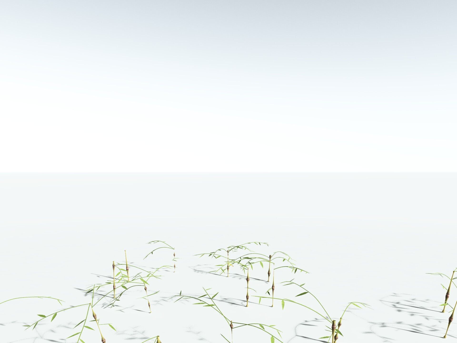 EVERYPlant Common Bamboo 3D model_29