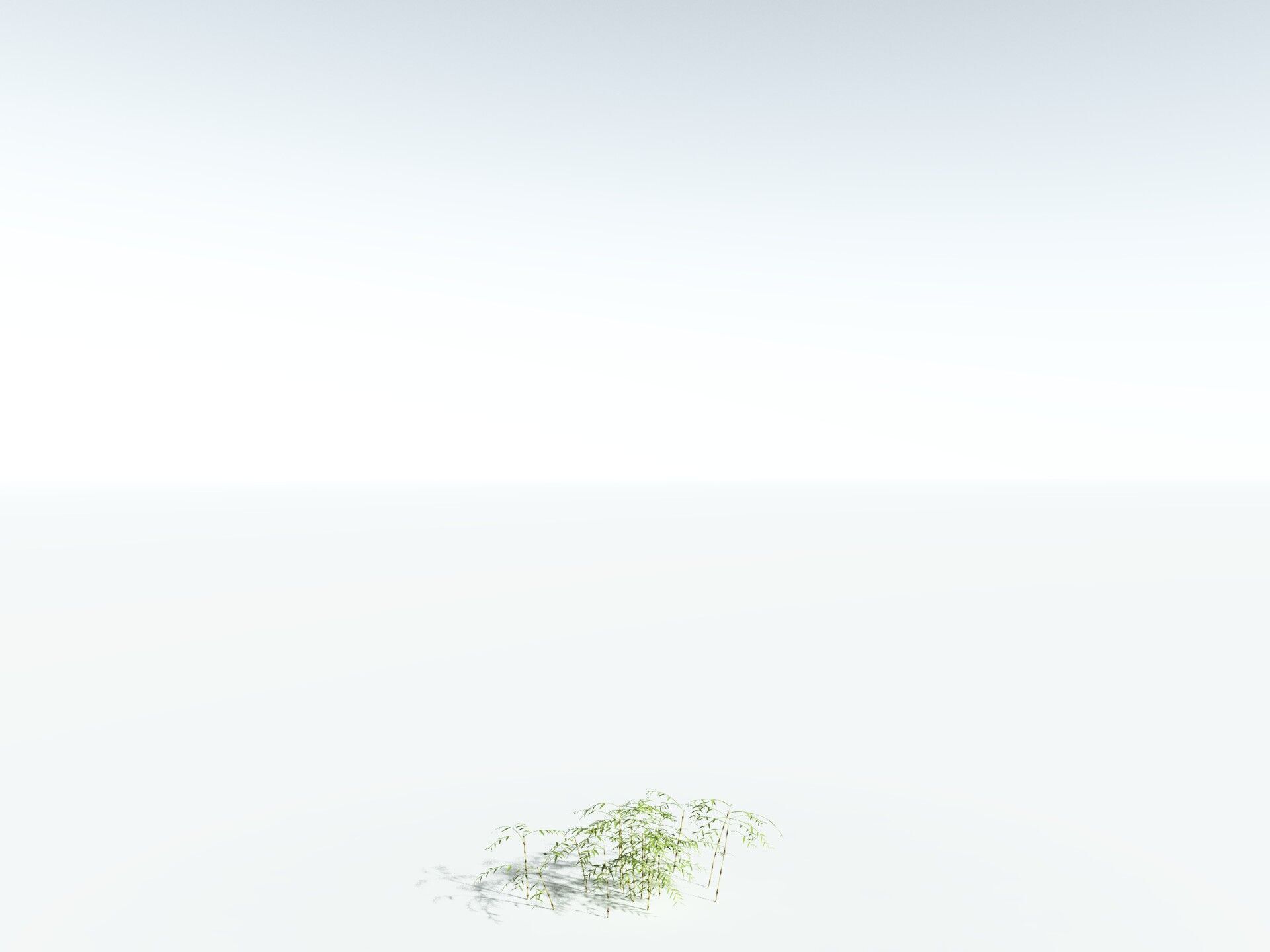 EVERYPlant Common Bamboo 3D model_26