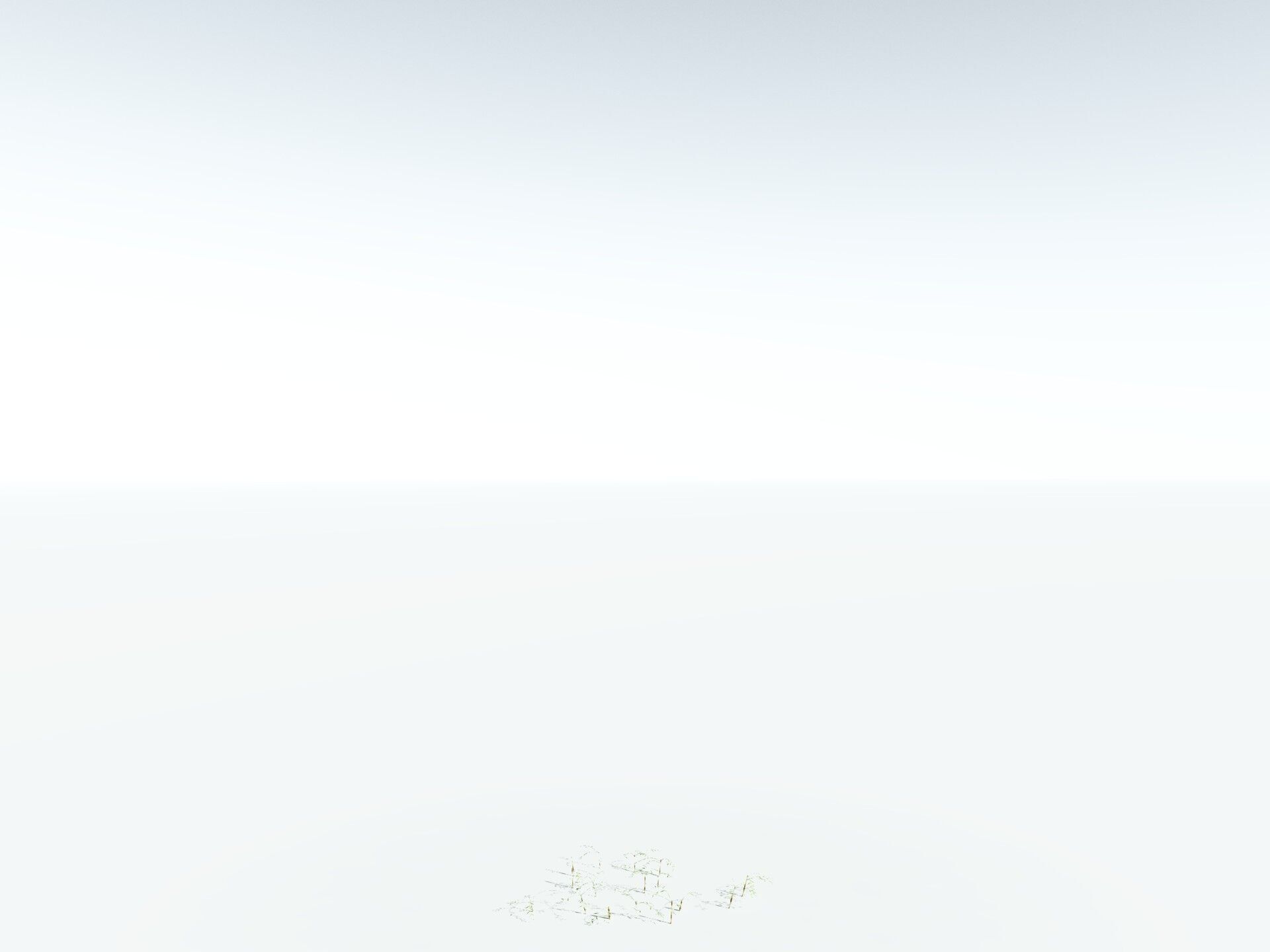 EVERYPlant Common Bamboo 3D model_28