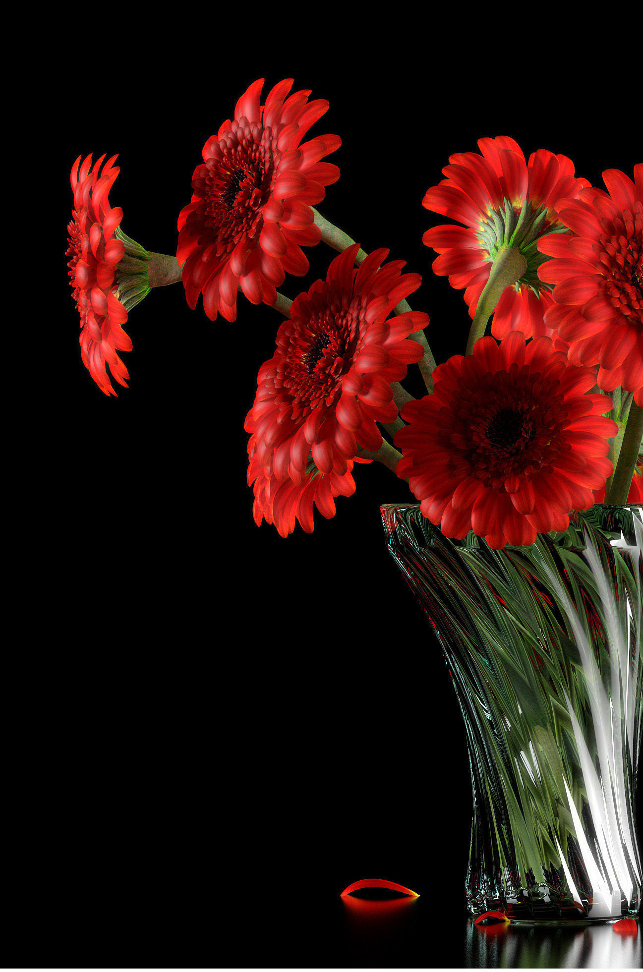 RED GERBERA 3D model_2