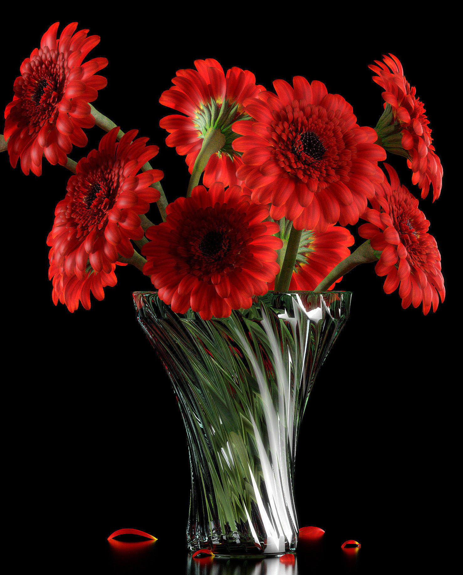 RED GERBERA 3D model_4