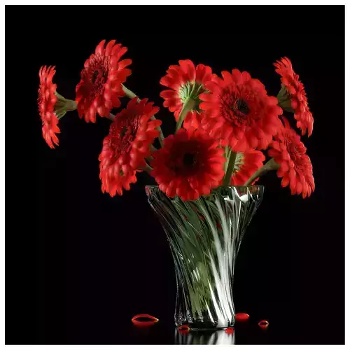 RED GERBERA