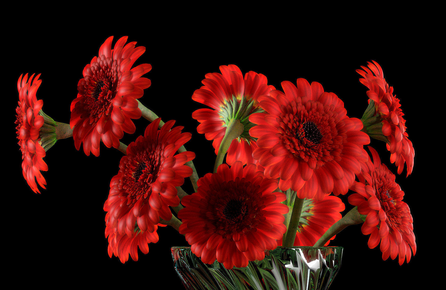 RED GERBERA 3D model_1