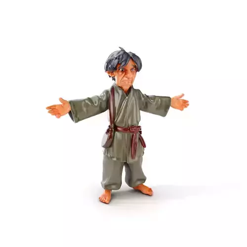 Wise Martial Artist Character Rigged and Animated Low-poly 3D model