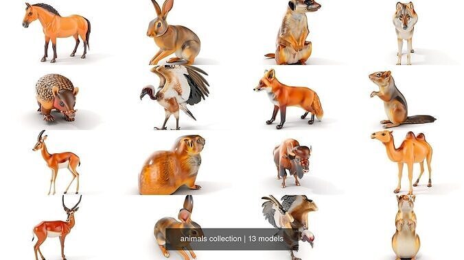 animals collection 